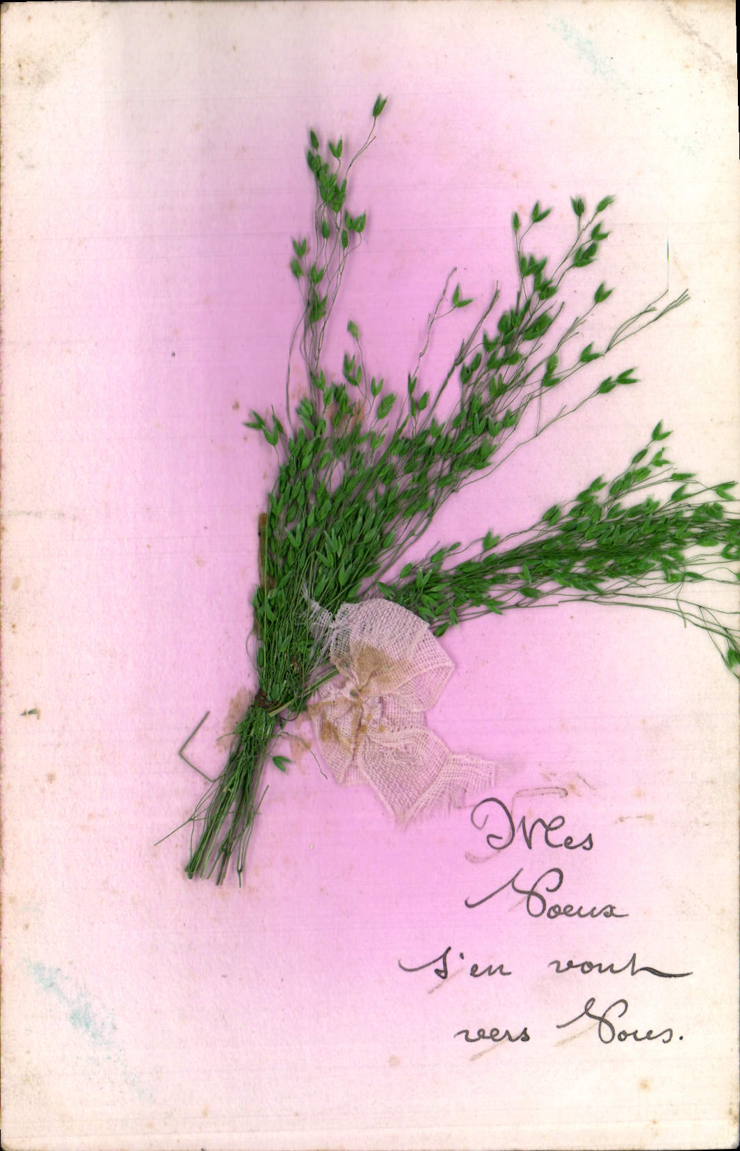 VINTAGE POSTCARD Fantasy Flowers