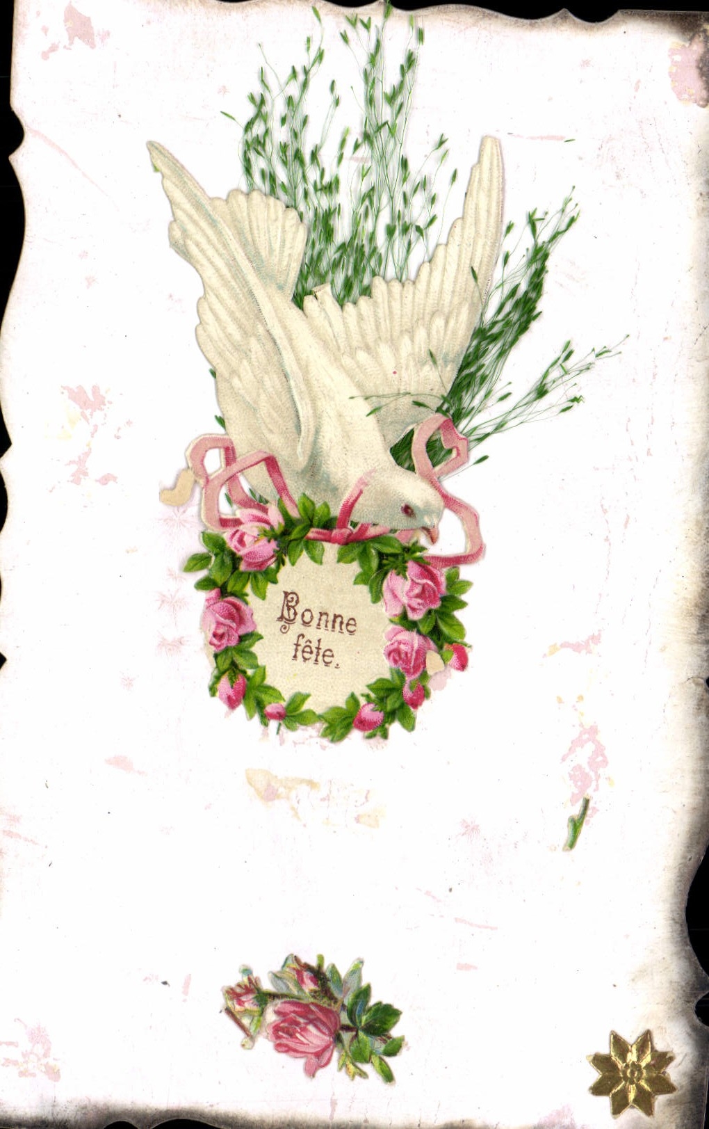 VINTAGE POSTCARD Fantasy Flowers Dove