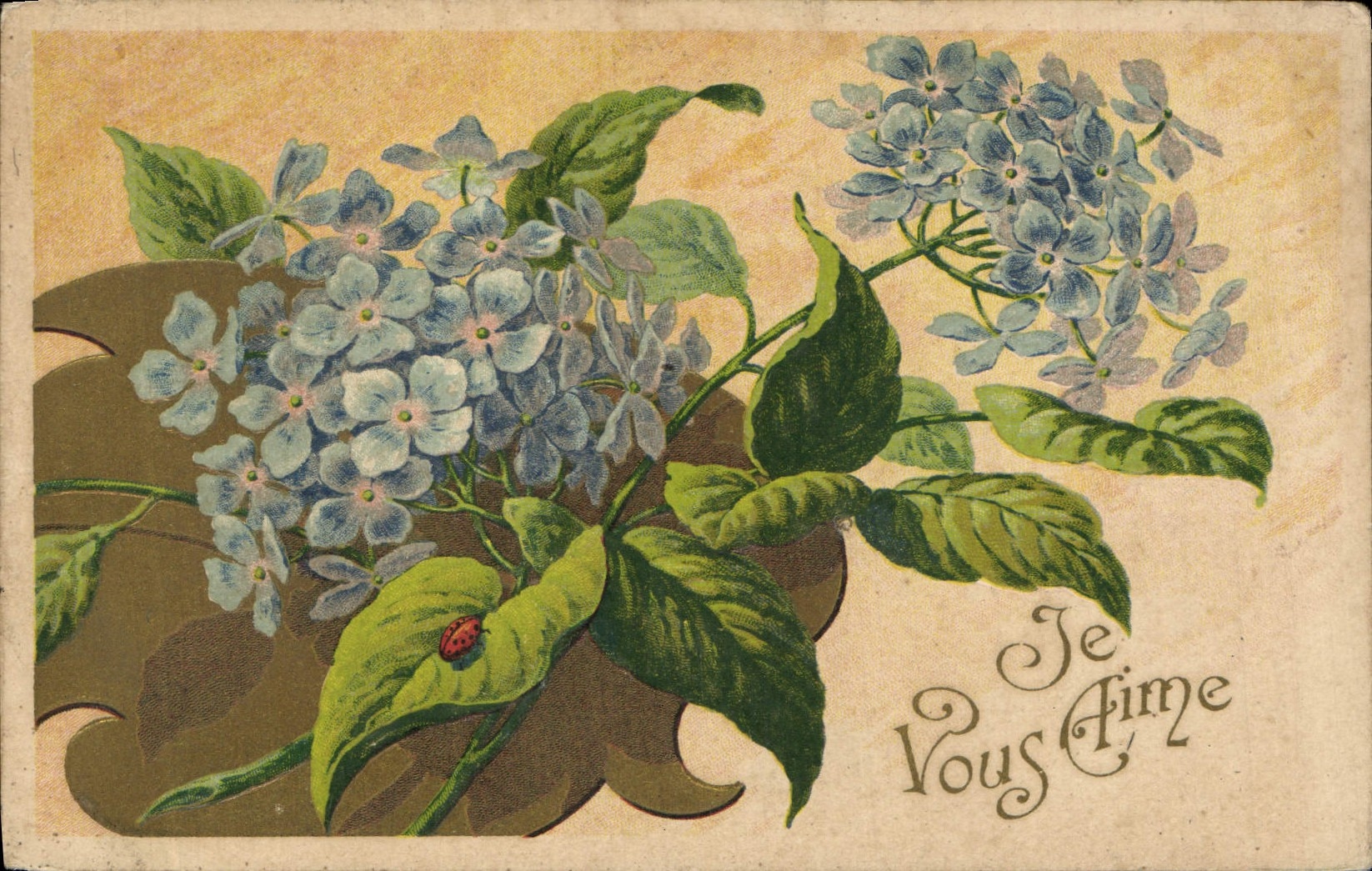 VINTAGE POSTCARD Fantasy Flowers
