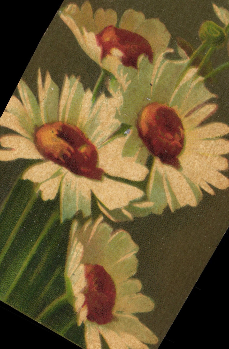 VINTAGE POSTCARD Fantasy Flowers