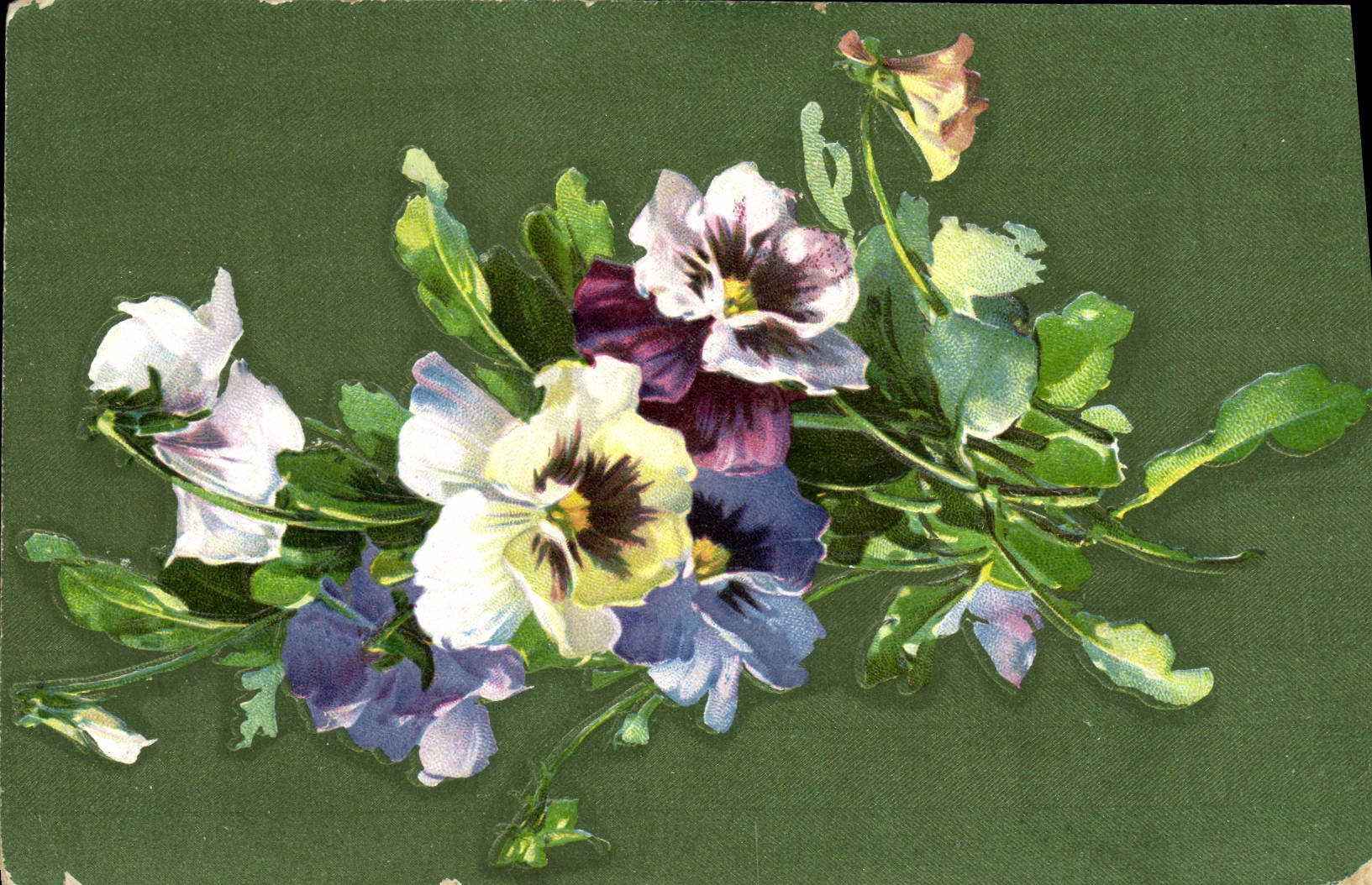 VINTAGE POSTCARD Fantasy Flowers