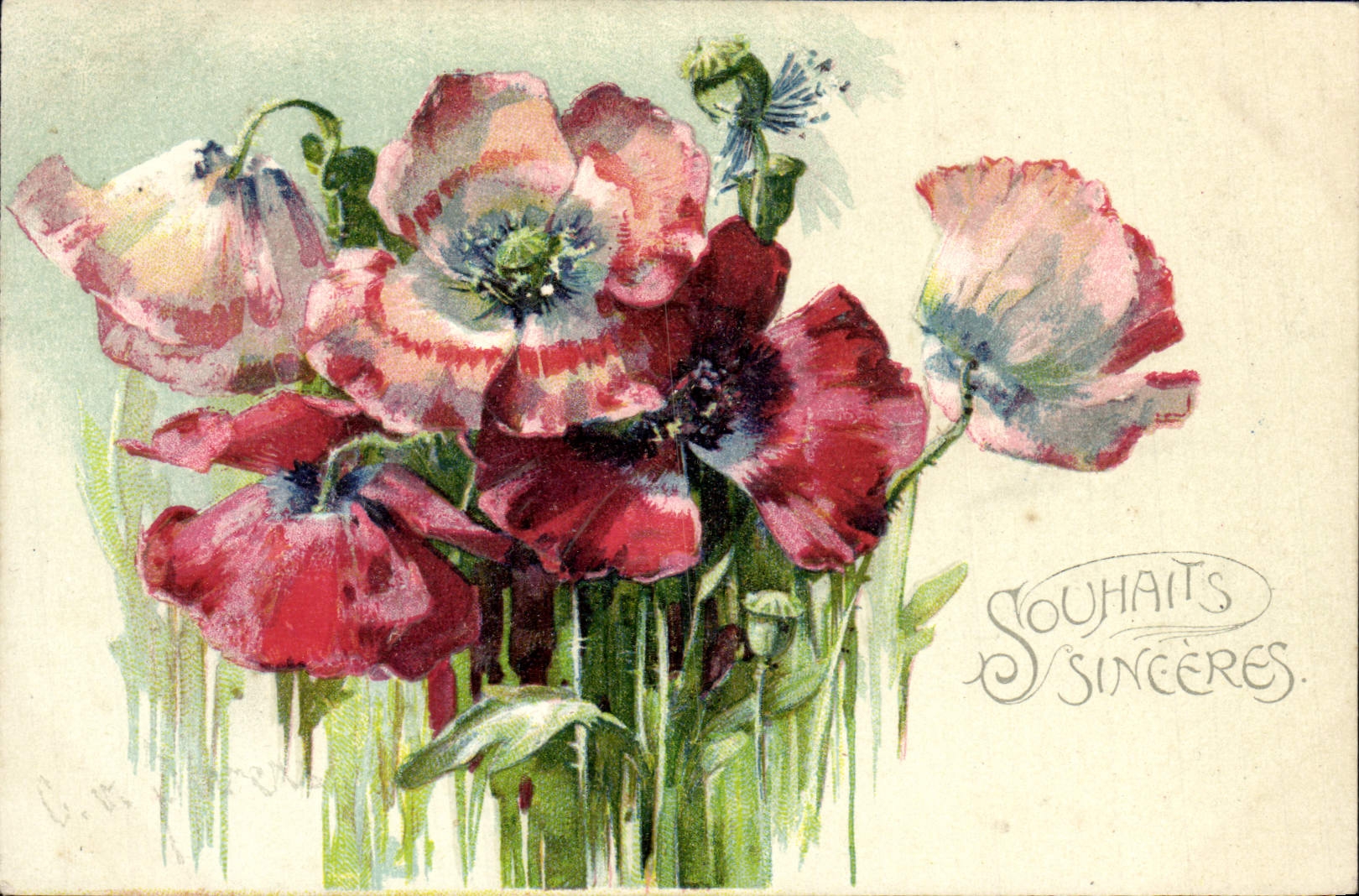 VINTAGE POSTCARD Fantasy Flowers