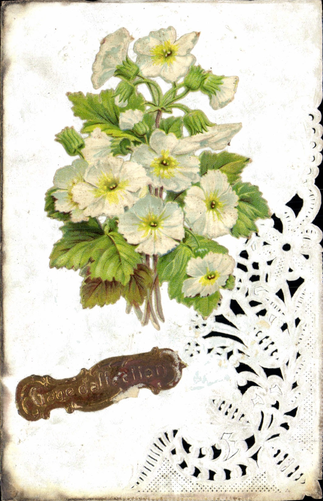 VINTAGE POSTCARD Fantasy Brodee Flowers