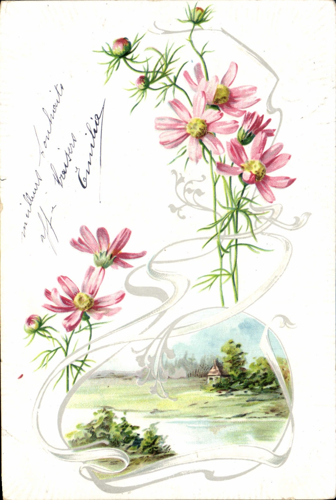 VINTAGE POSTCARD Fantasy Flowers