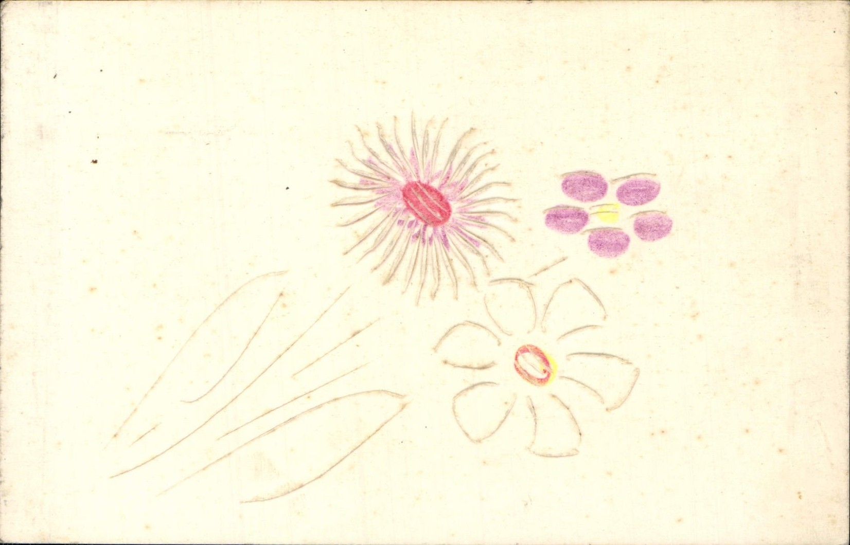 VINTAGE POSTCARD Fantasy Flowers