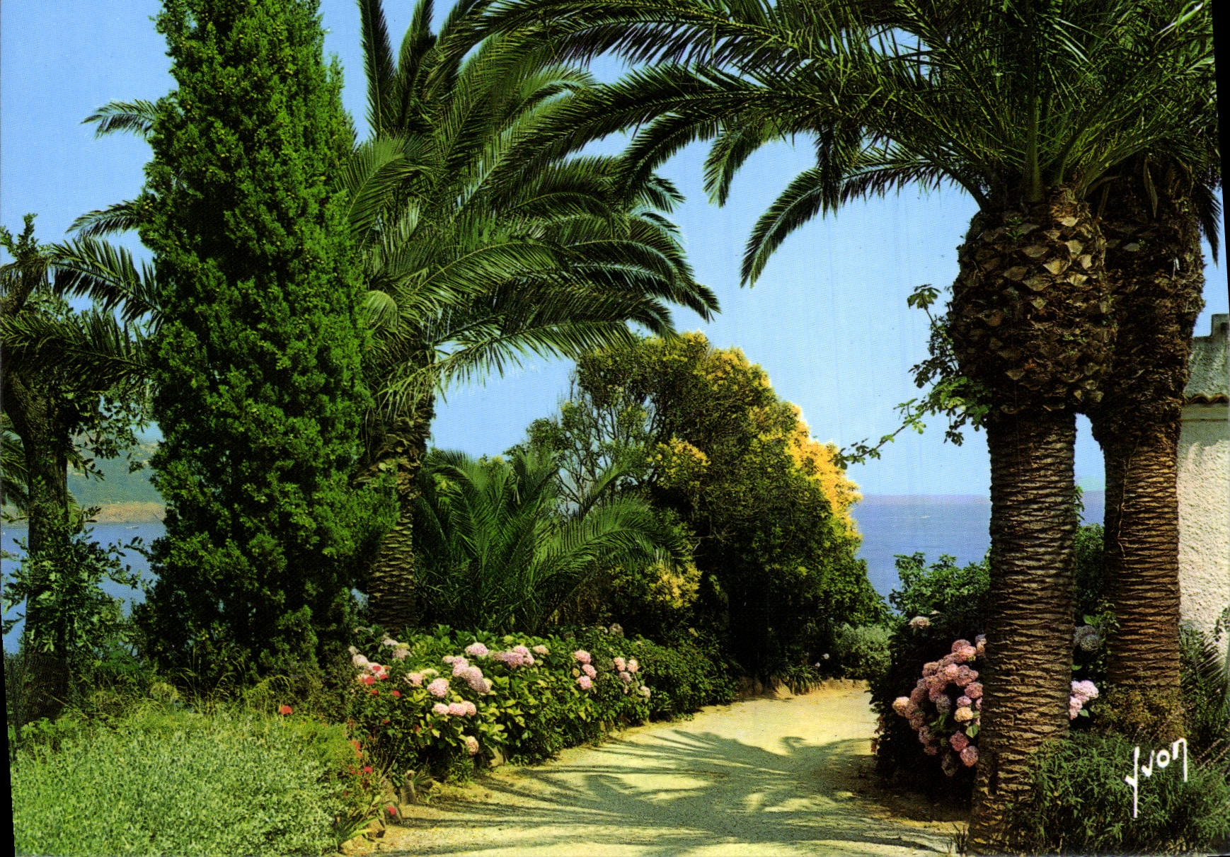 MODERN CARD Colors And Light Of France the Dimension of Azure Miracle Of Nature Flowered Garden