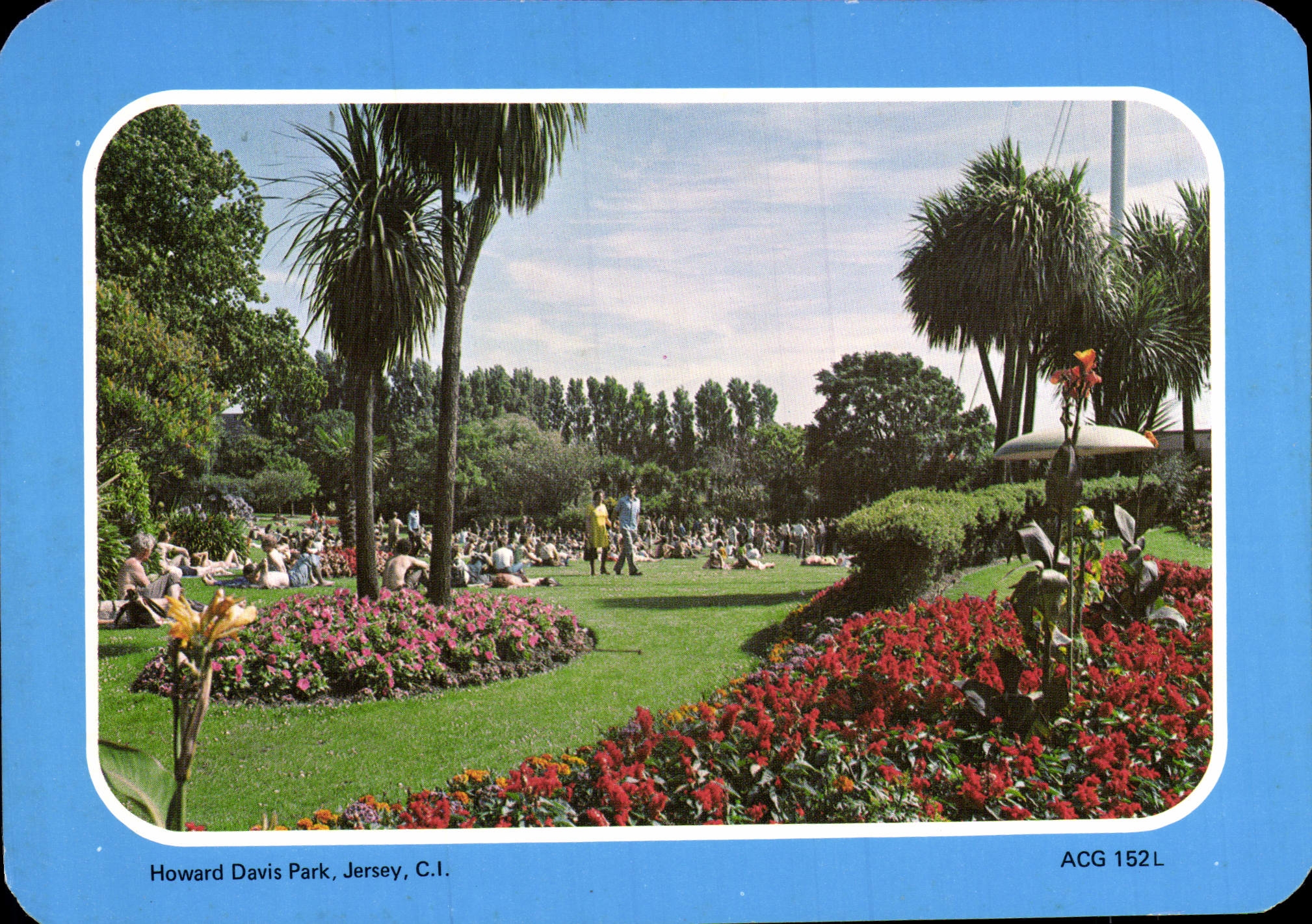 MODERN CARD Howard Davis Park Jersey