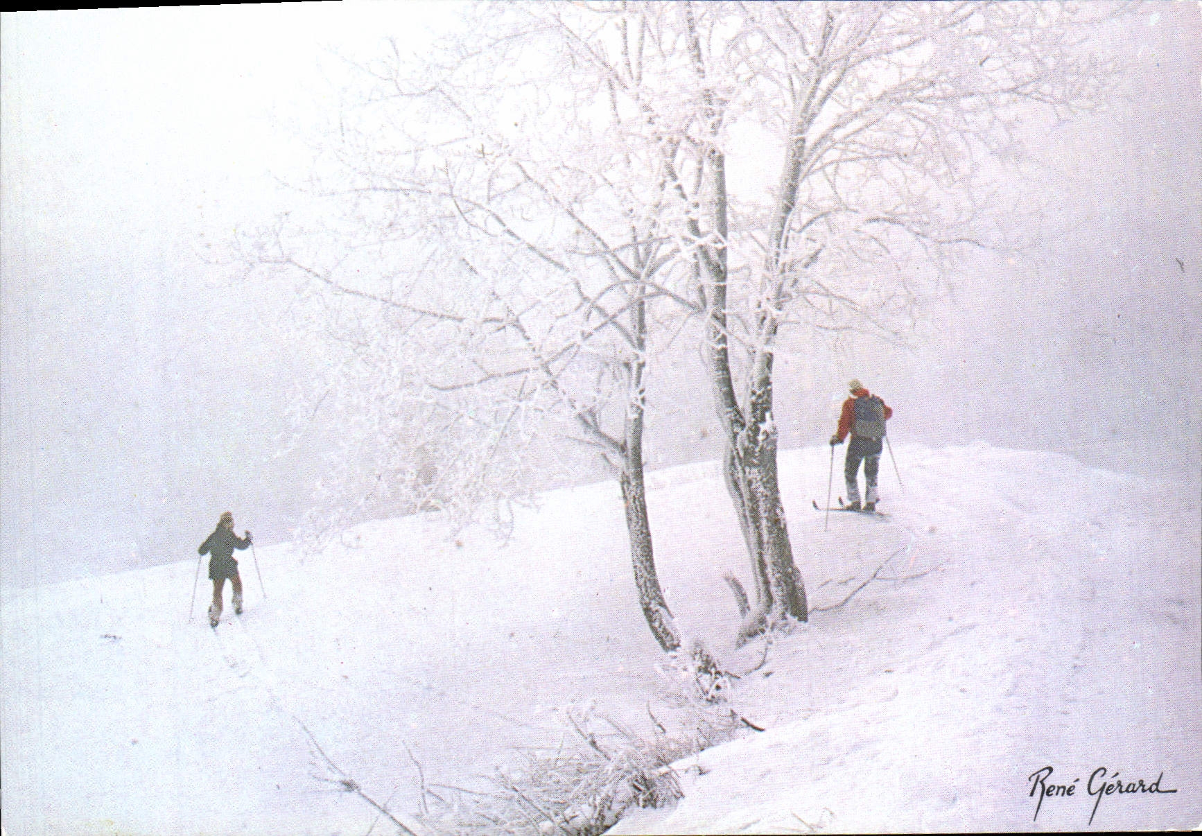 CPM Images De Chez Nous Randonnee Ski