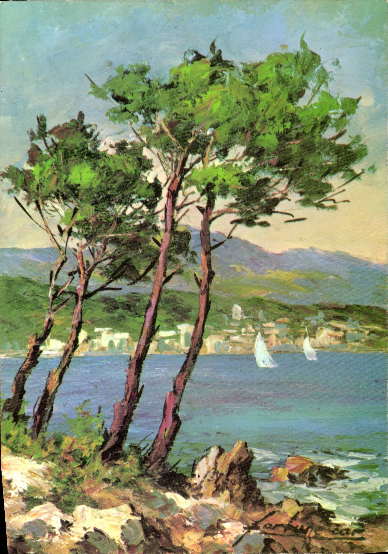 CPM En Provence Pins Maritimes