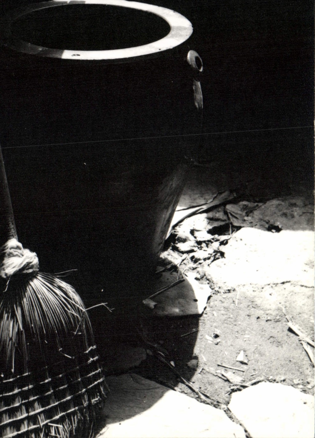 MODERN CARD Michel Lourlot Photographer