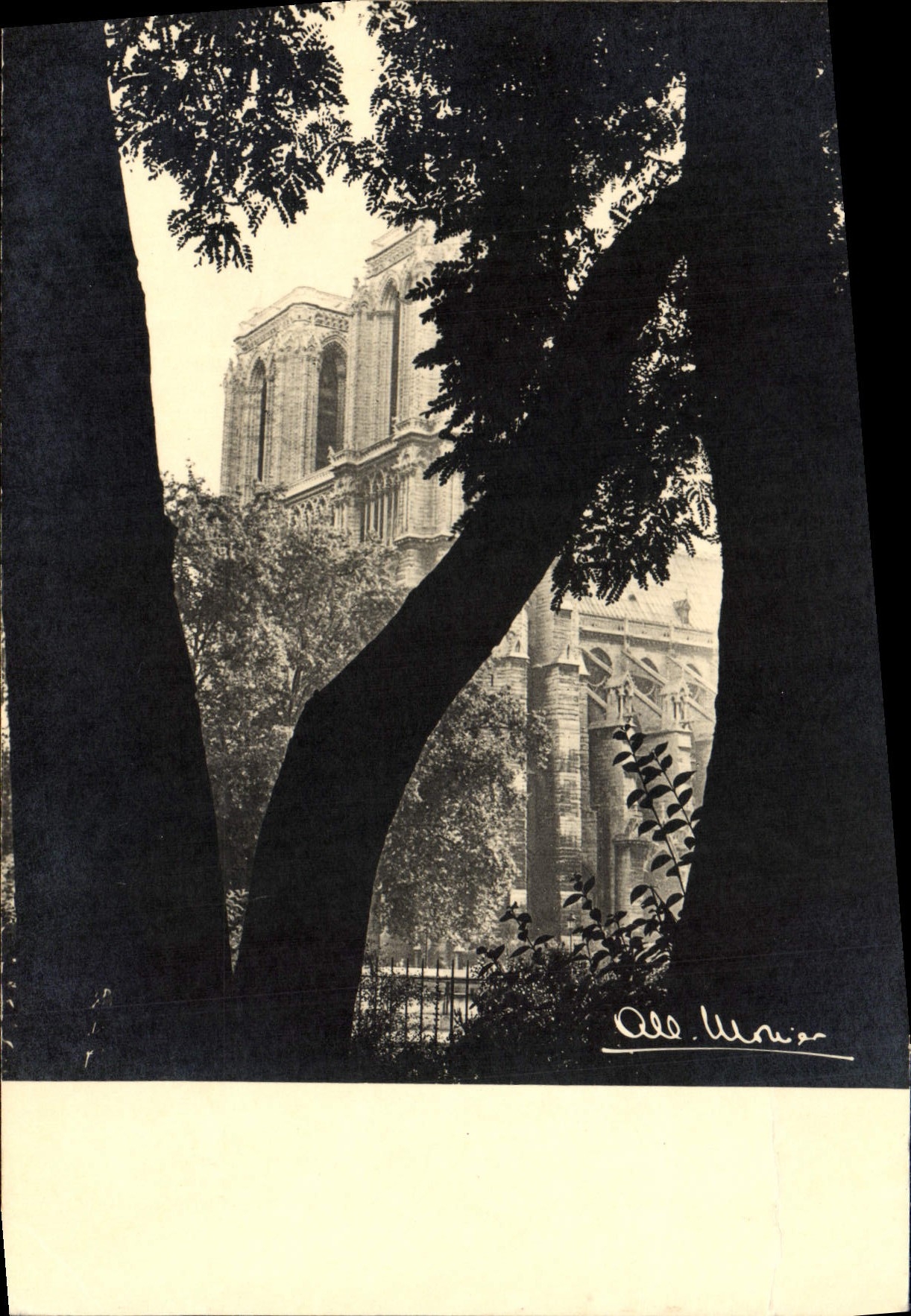 MODERN CARD Paris Notre Dame