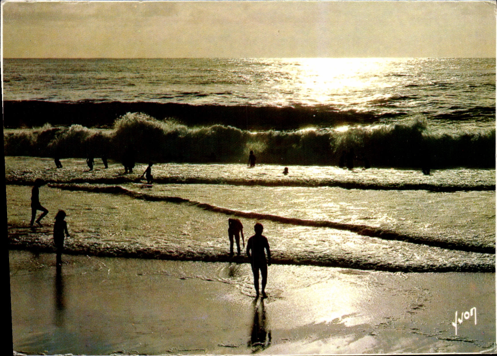 MODERN CARD Pleasures of the Sea