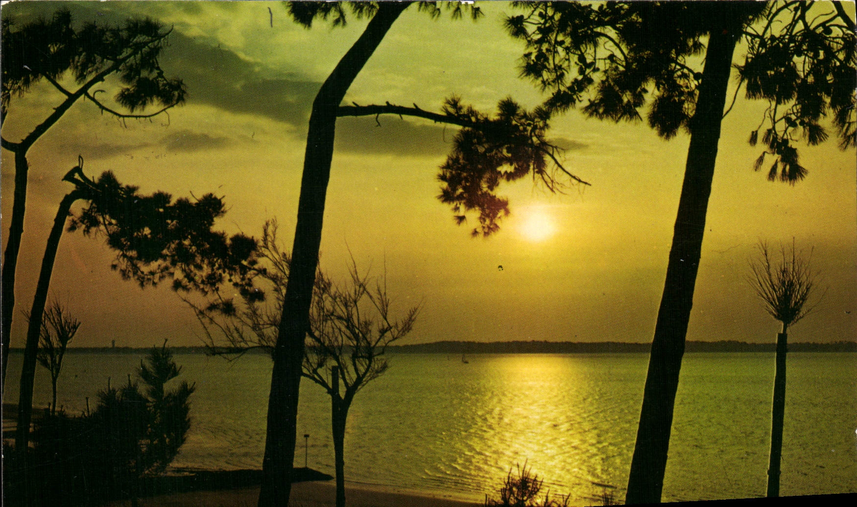 POSTAL MODERNA mar solitario y vacío