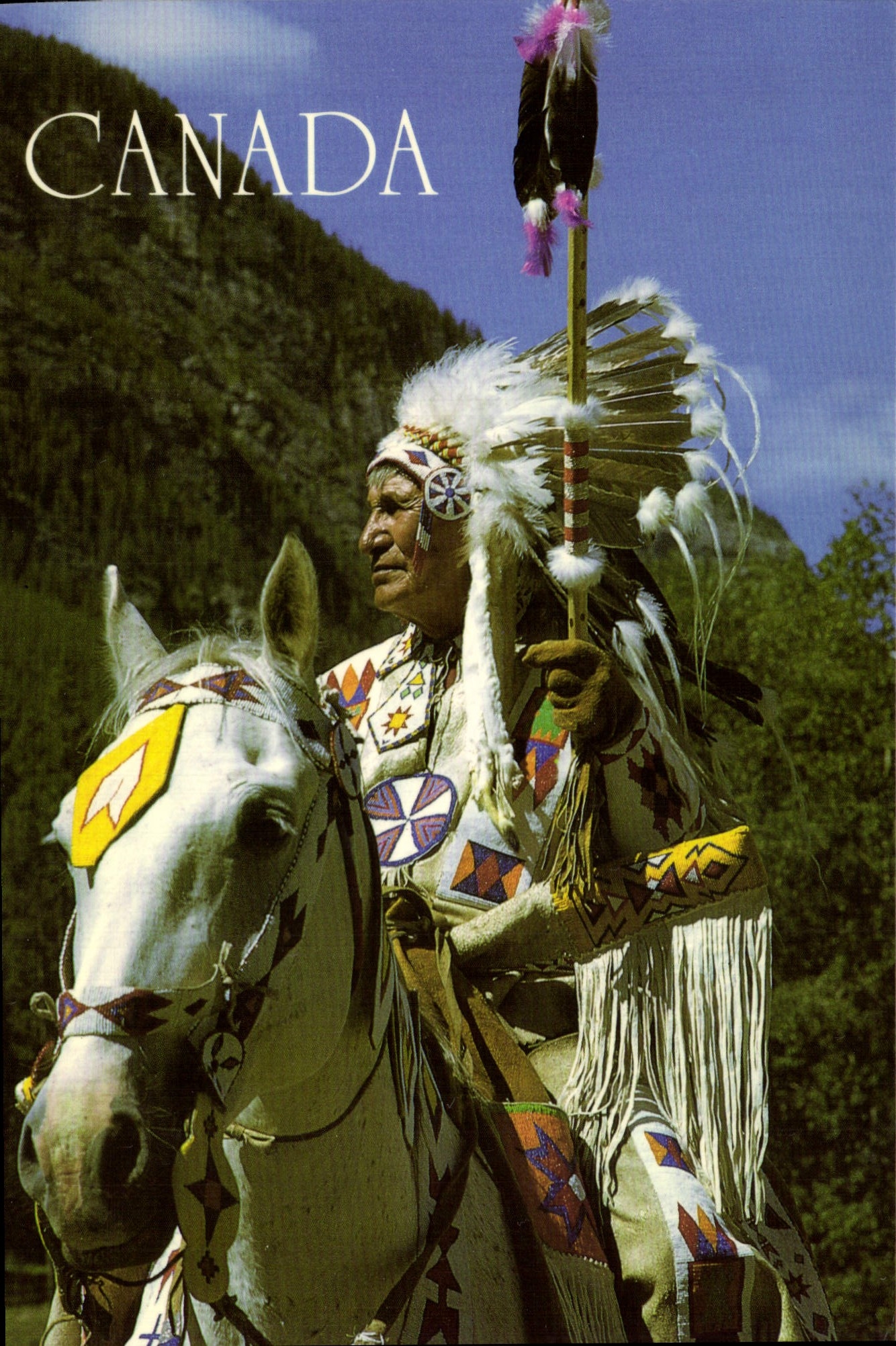 MODERN CARD Indian Canada Folklore Horse