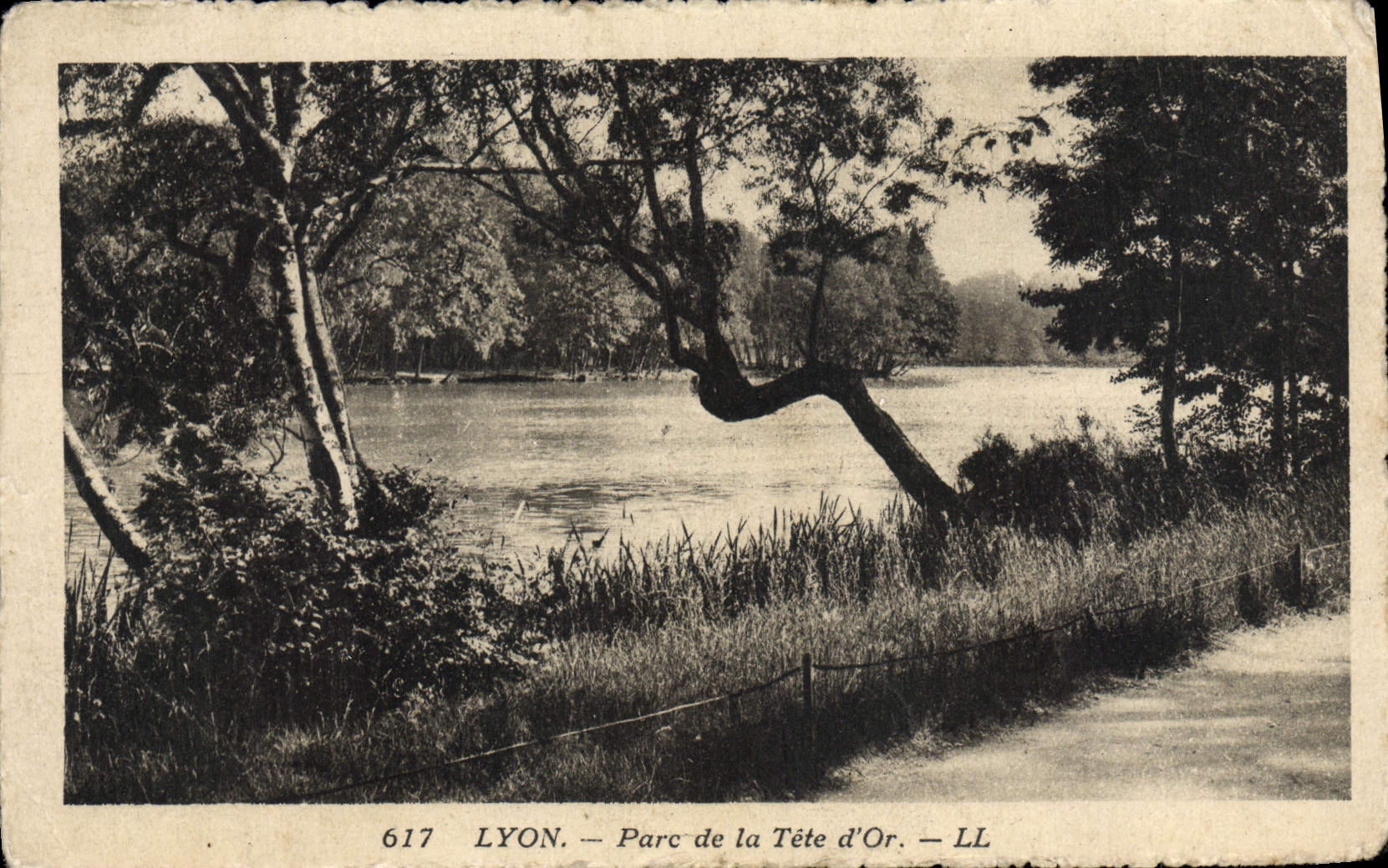 MODERN CARD Lyon Park of the Gold Head