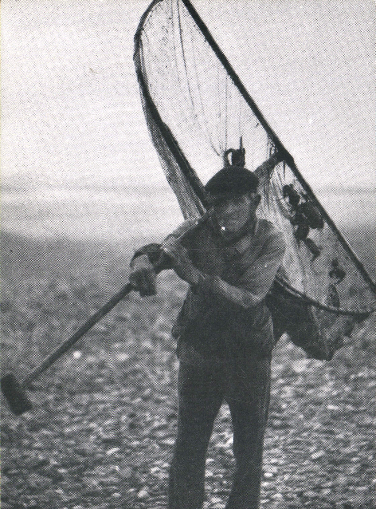 REPRO Le Normandie D'Autrefois Le Pecheur de crevettes Peche