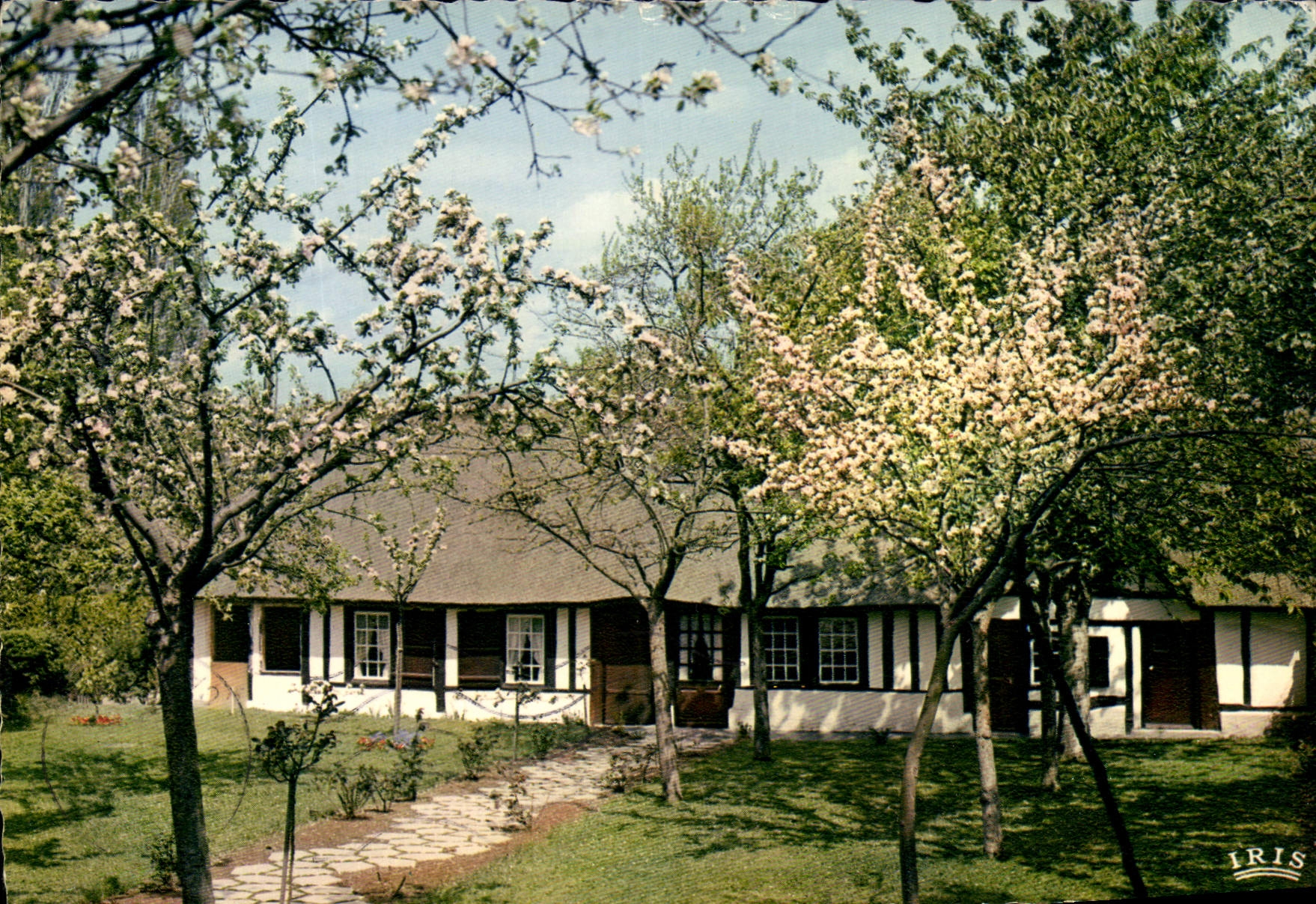 POSTAL MODERNA Normandía lujuriante cubrió con paja manzanos del normando y De la cabaña en flores