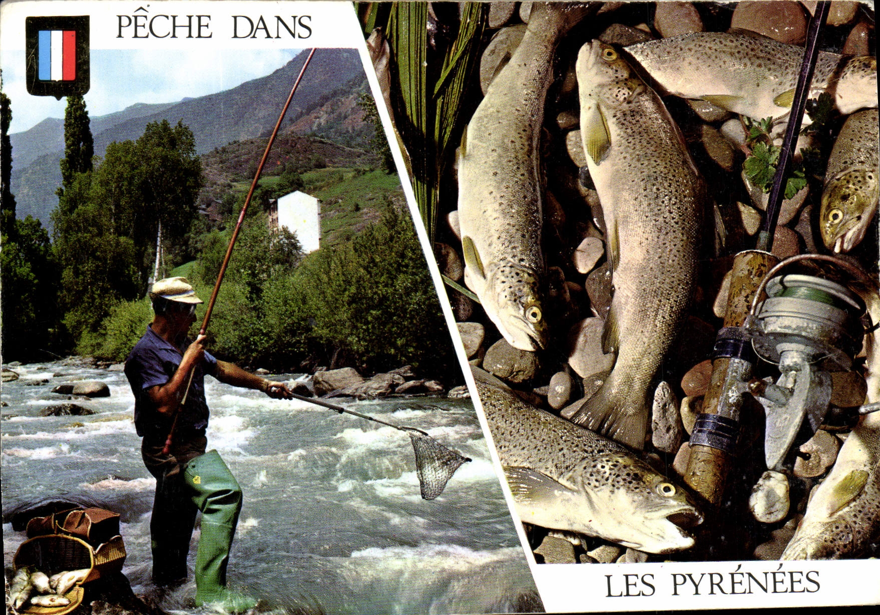 CPM Peche Dans Les Pyrenees Truite 