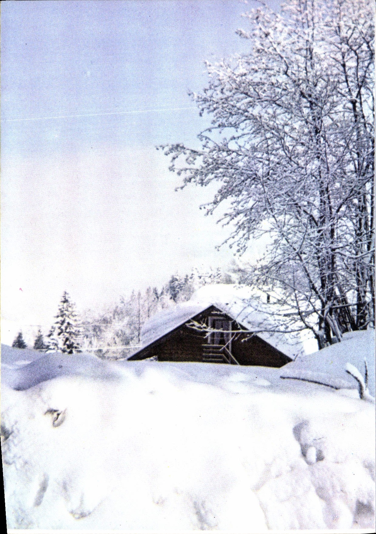 MODERN CARD House under snow