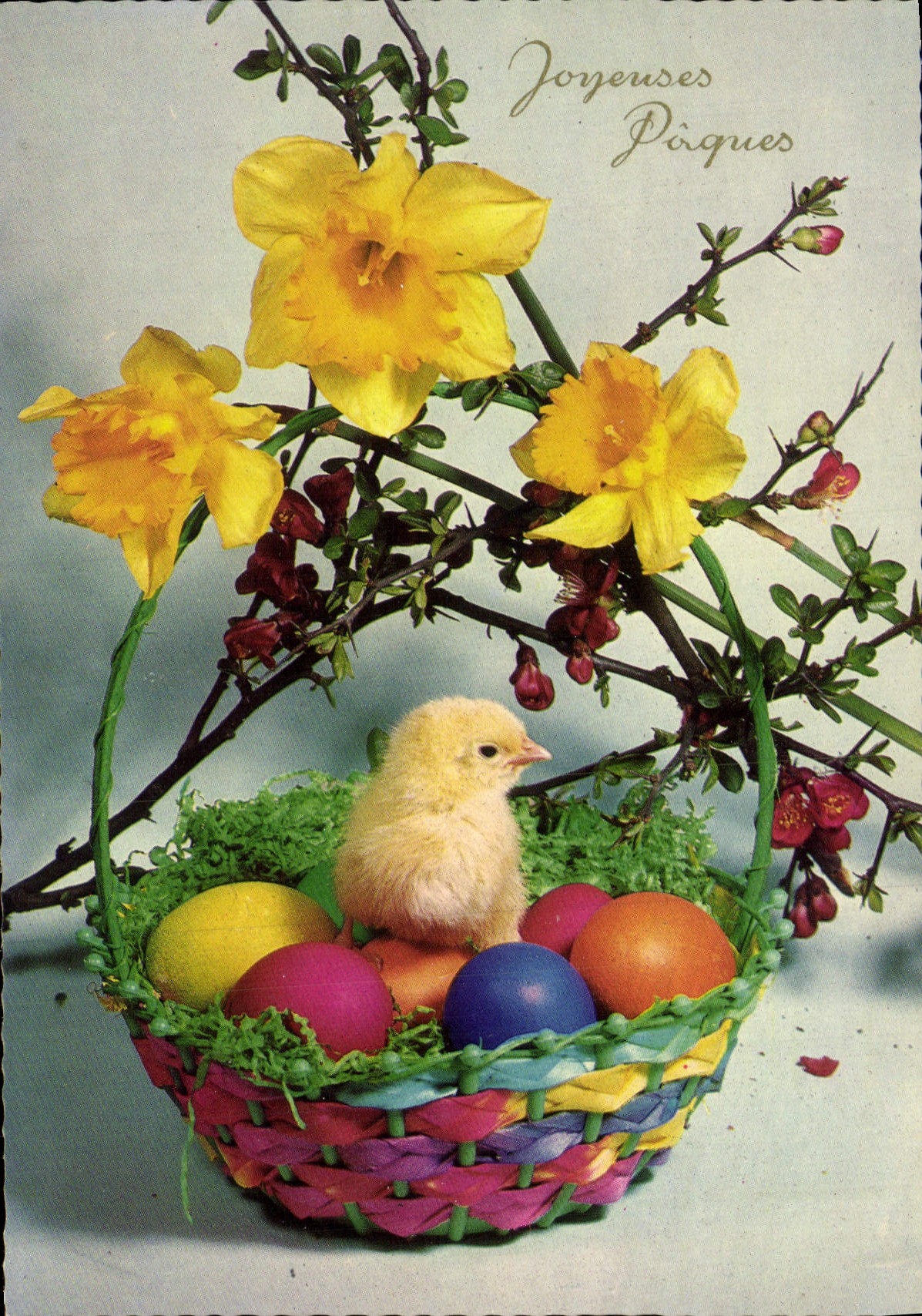 CPM Joyeuses Paques Poussin