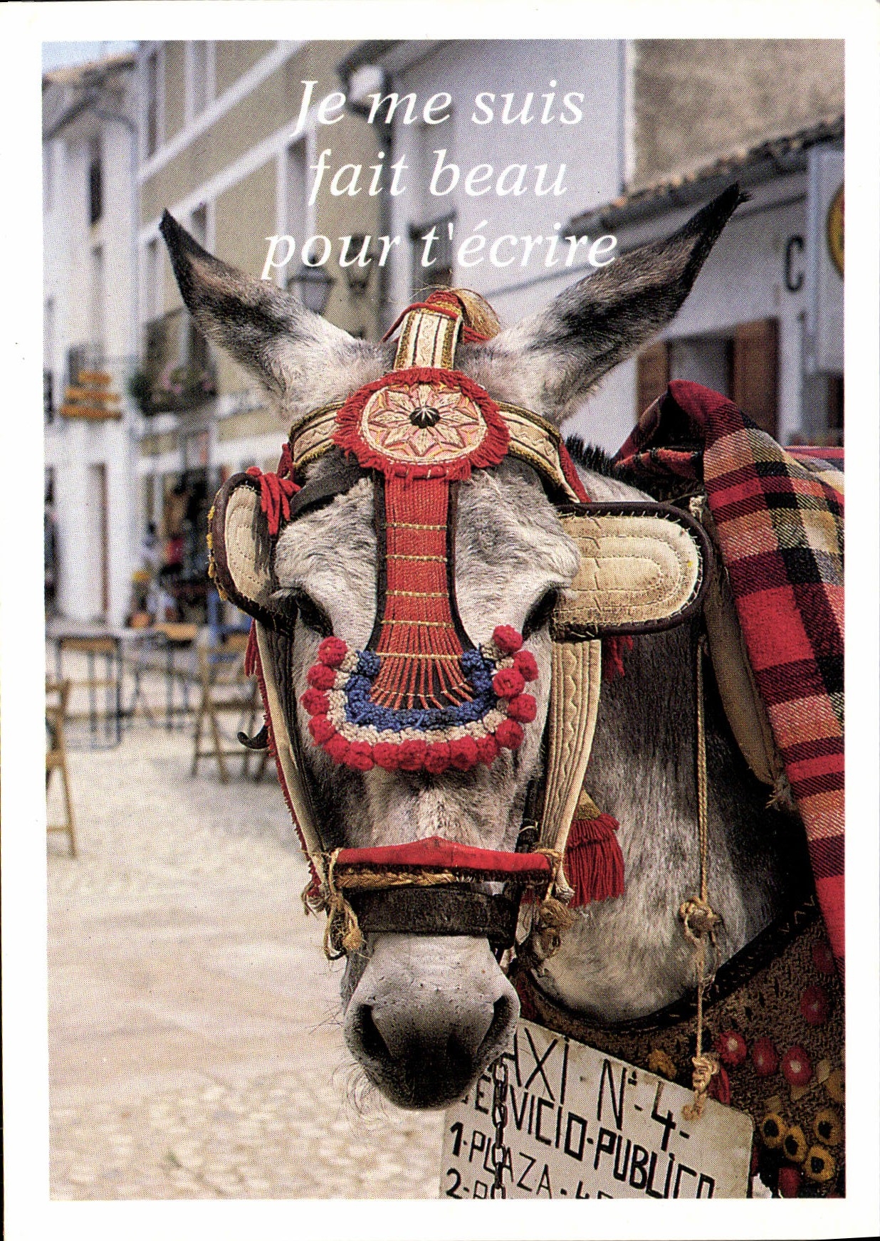 CPM Message D'Animaux Ane