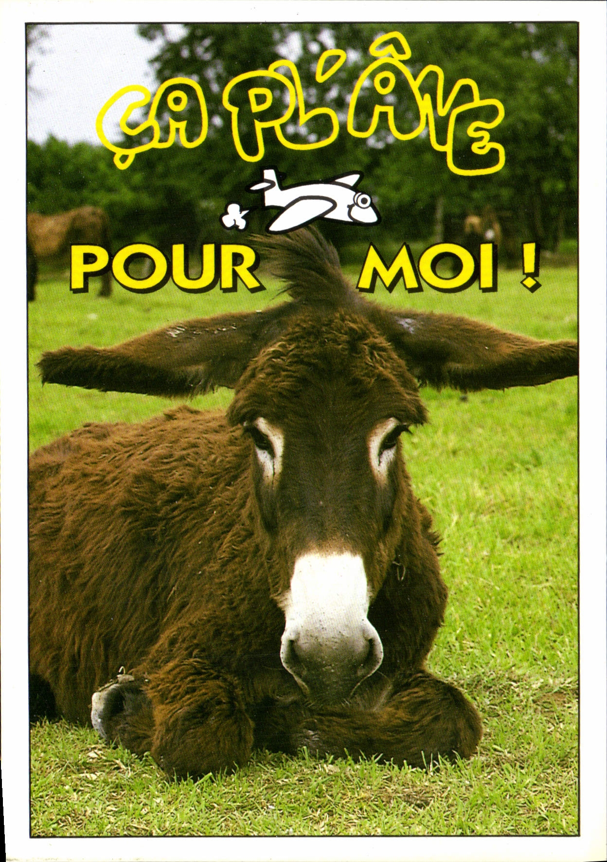 CPM Ca plane pour moi Ane