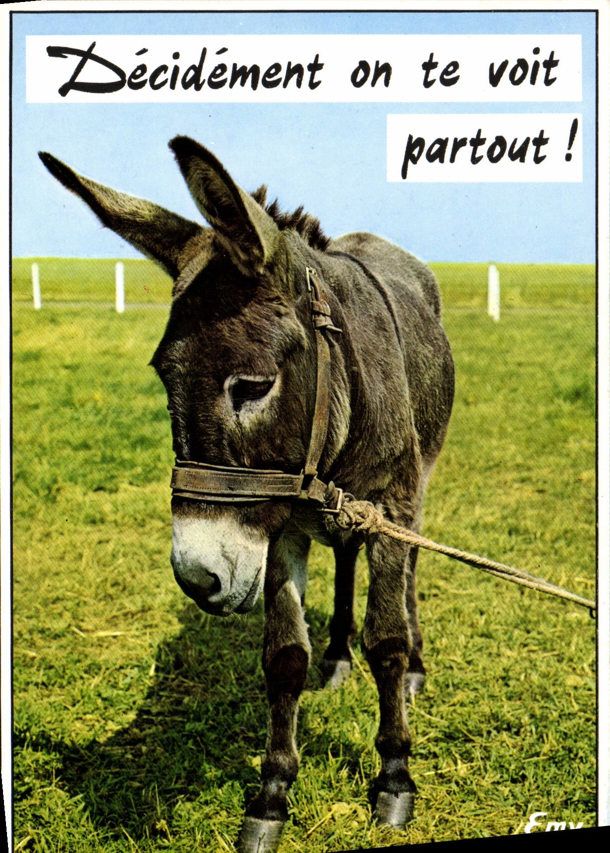 CPM Decidement on te Voit partout Ane
