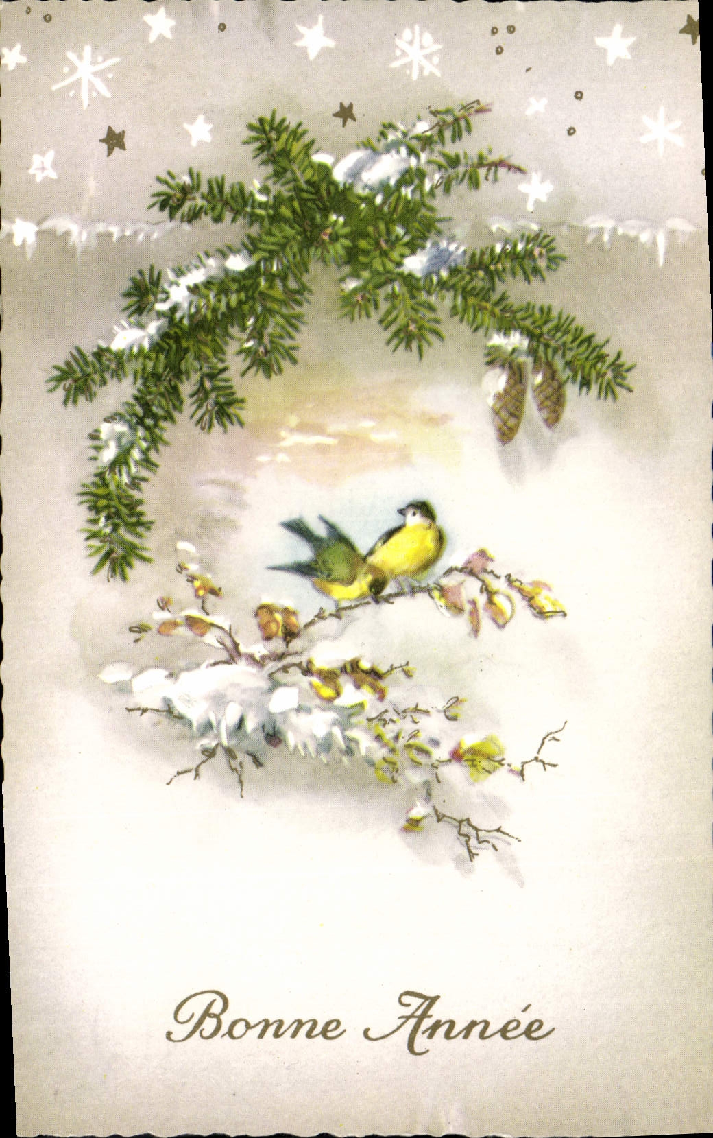 CPM Bonne Annee Oiseau