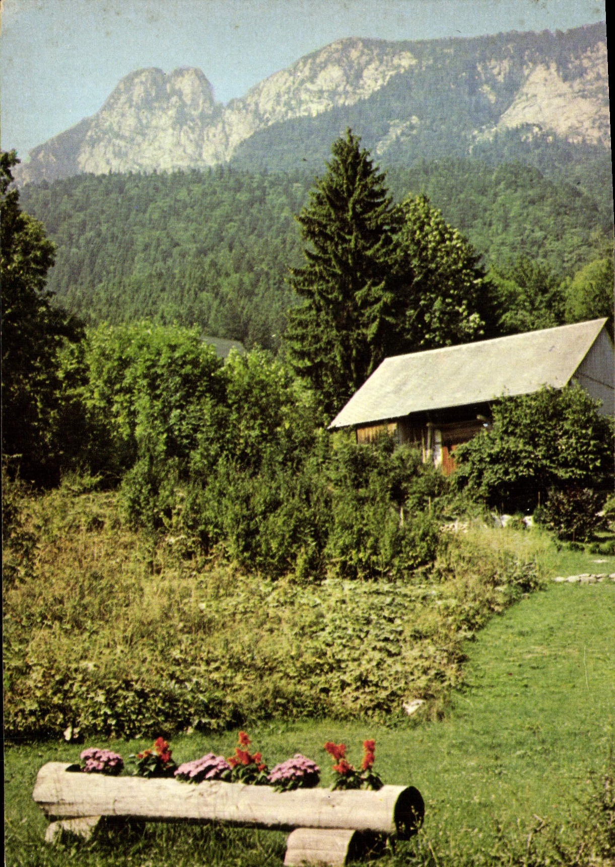 CPM Paysage de Montegne