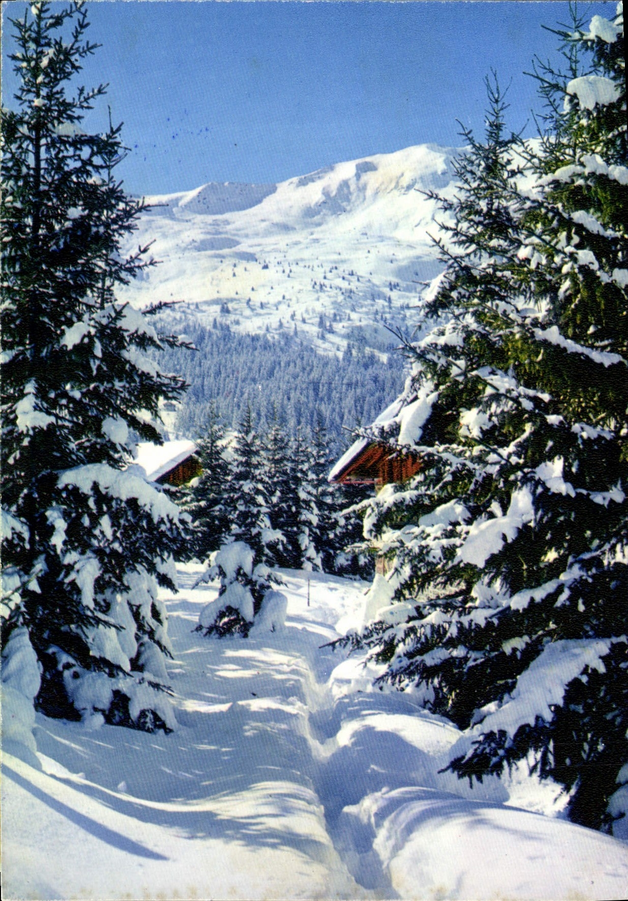 MODERN CARD In Our Majestic Mountains winter