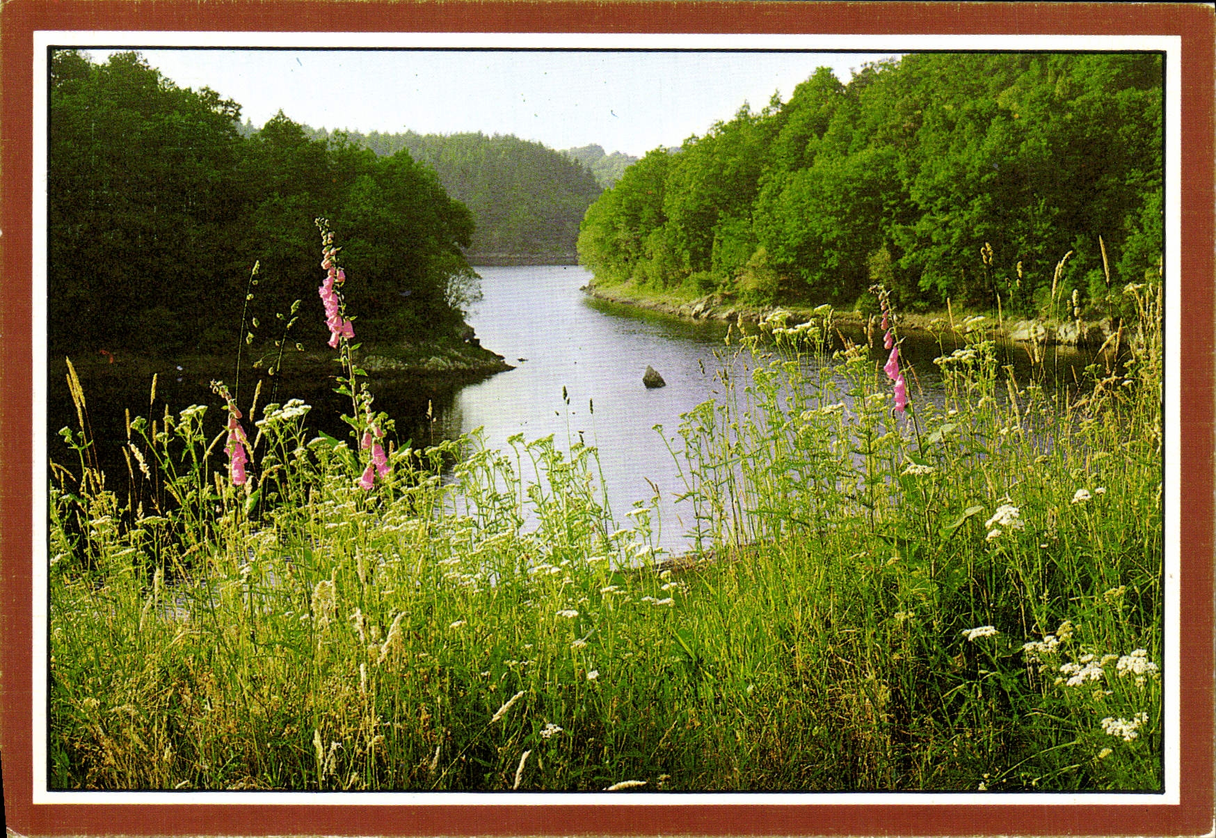 MODERN CARD calm Water