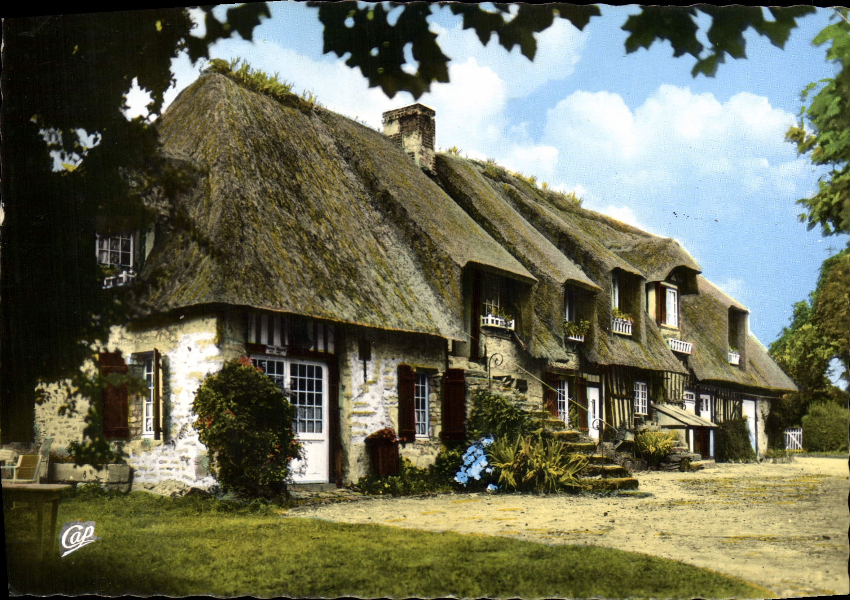 CPM La Luxuriante Normandie Maison Normande au toit de chaume