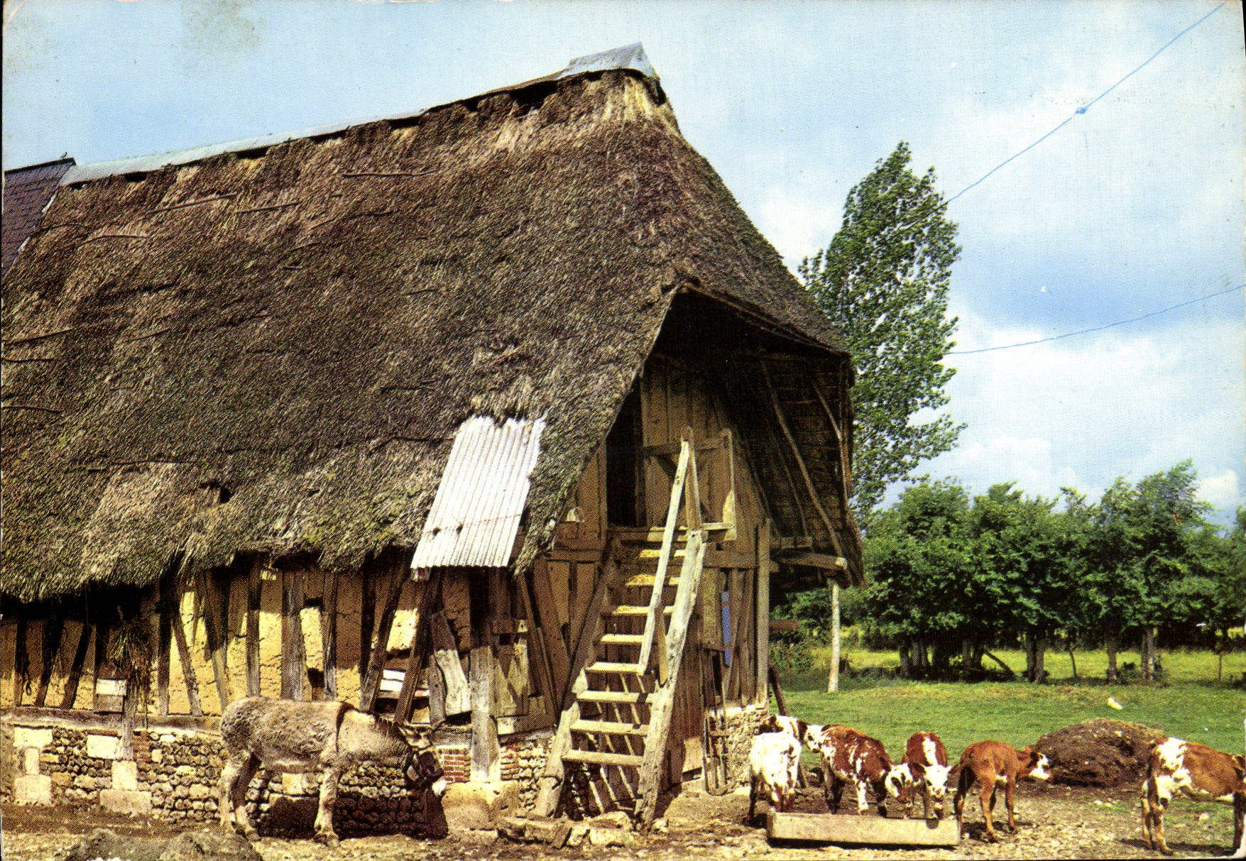 MODERN CARD Thatched cottage Norman Ass