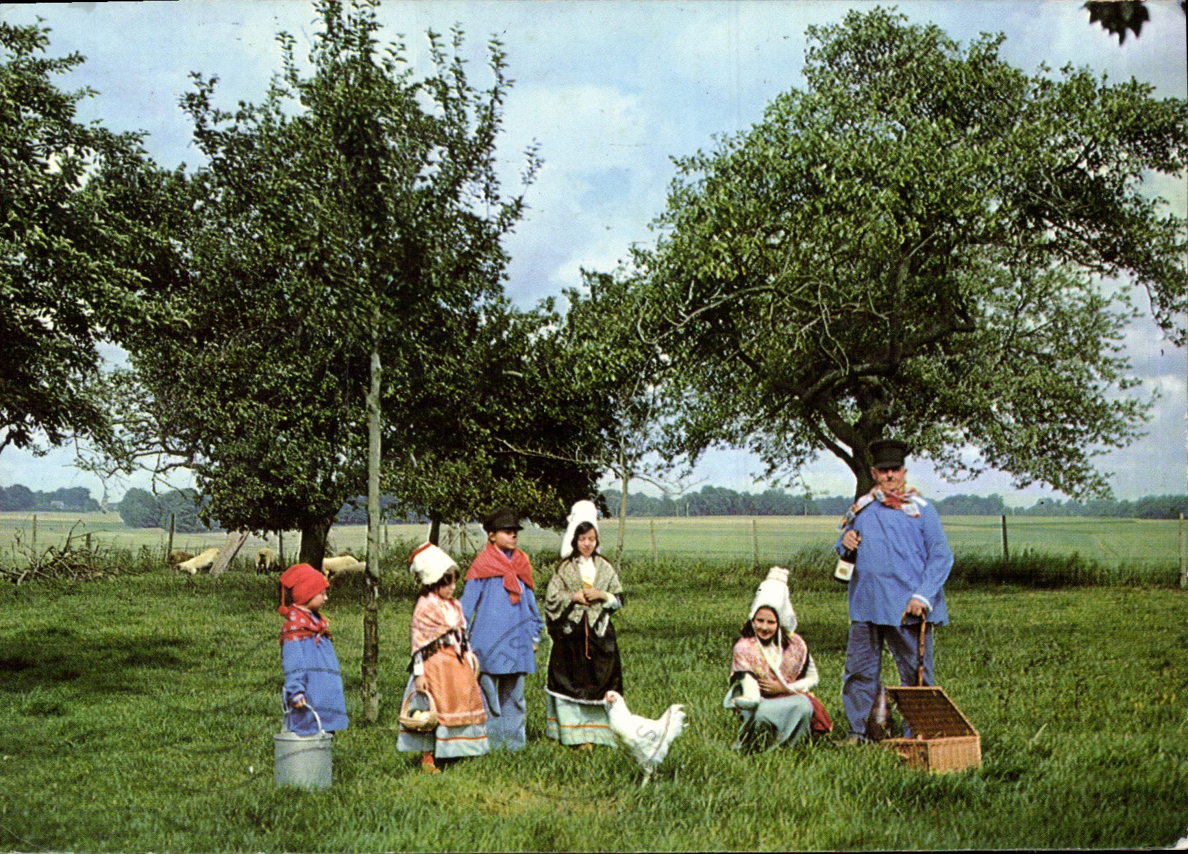 CPM Folklore Normand Enfants Folklore 