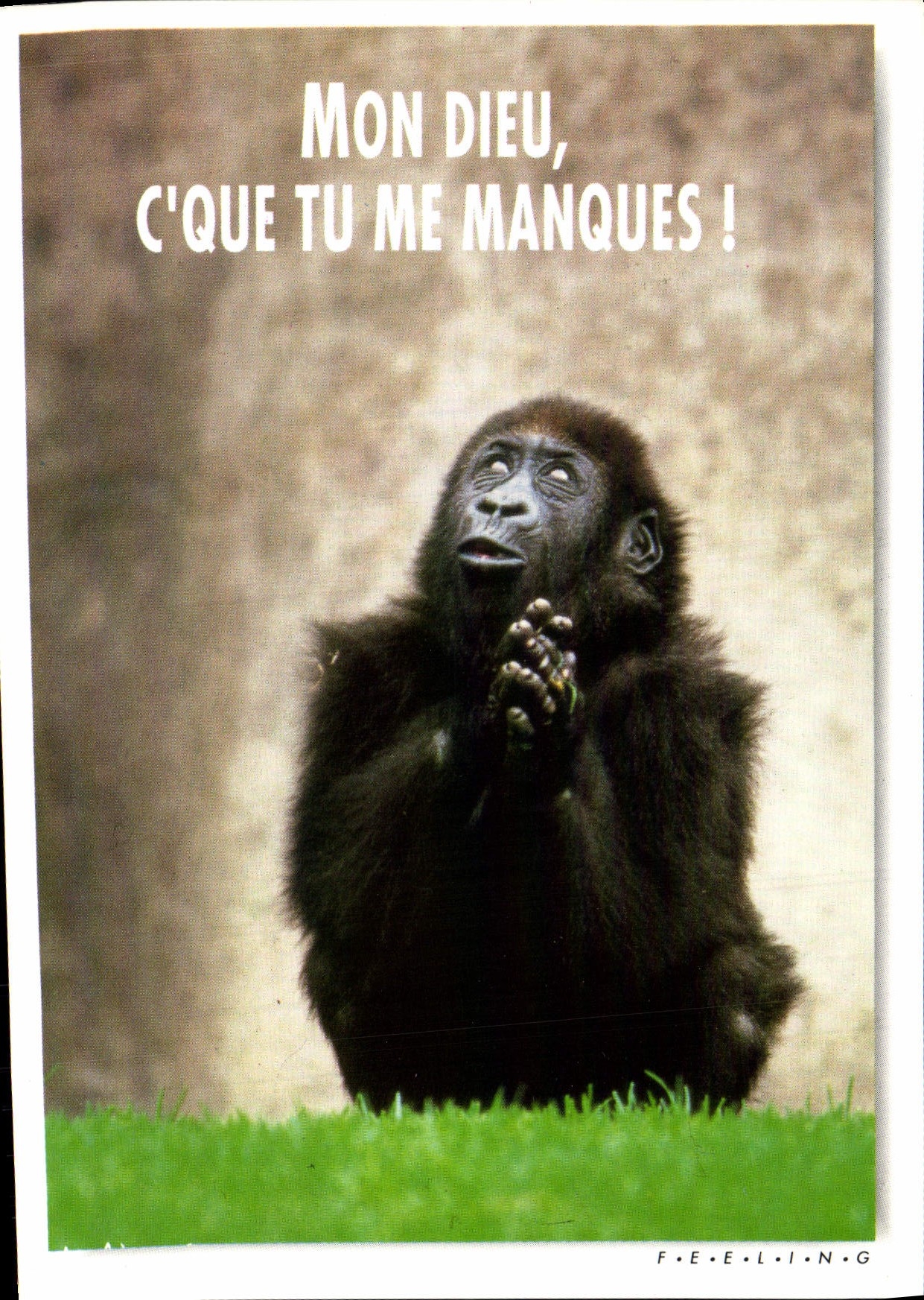 CPM Mon Dieu C'Que Tu Me Manques Singe 