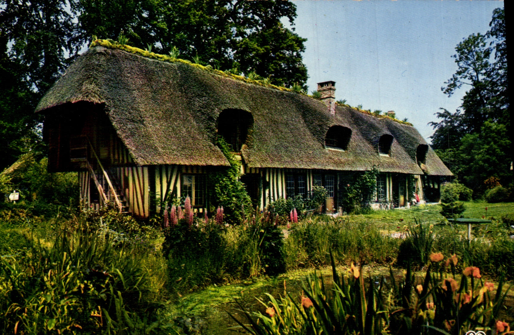 POSTAL MODERNA normando cubierto con paja de Normandía de la cabaña
