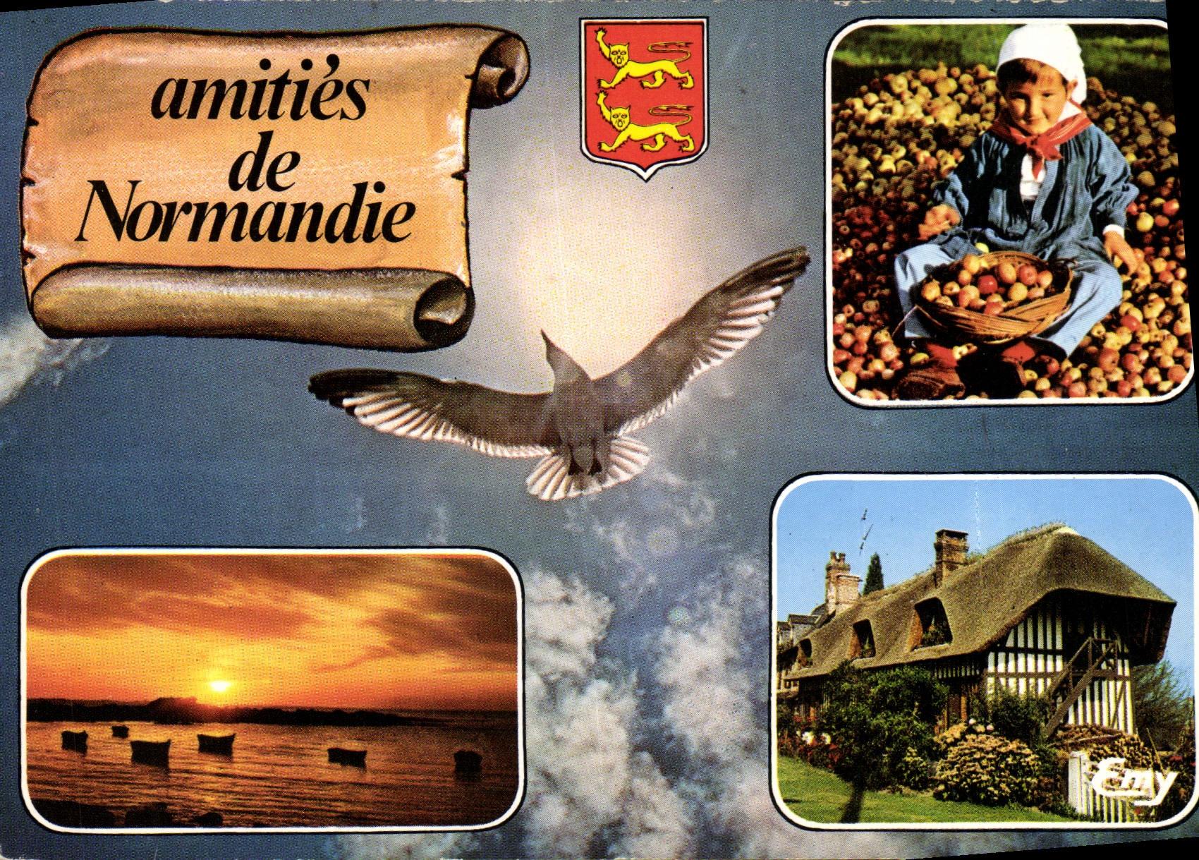 MODERN CARD Picturesque Normandy Folklore Gull Child Apples