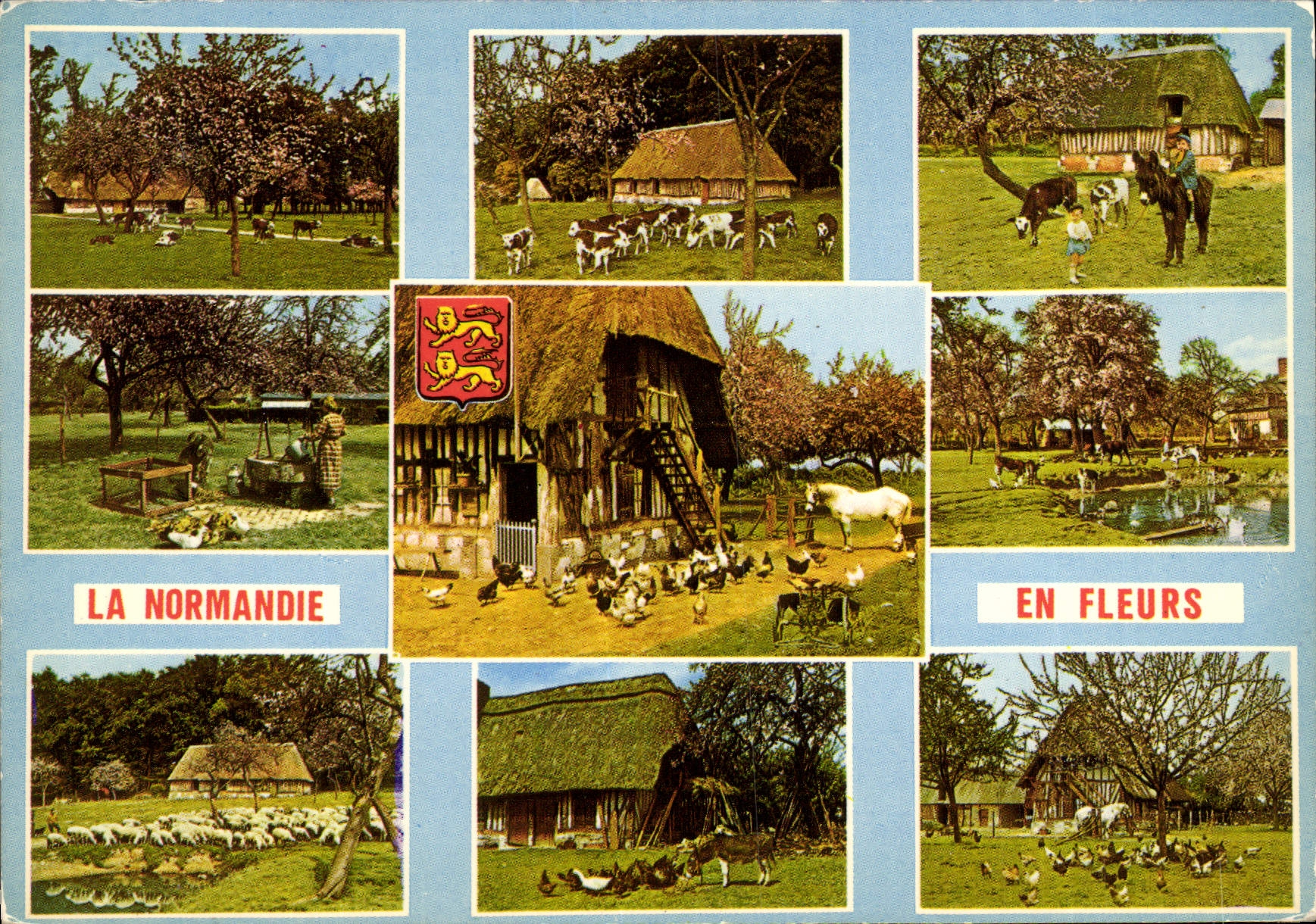 MODERN CARD Normandy Ass Farms