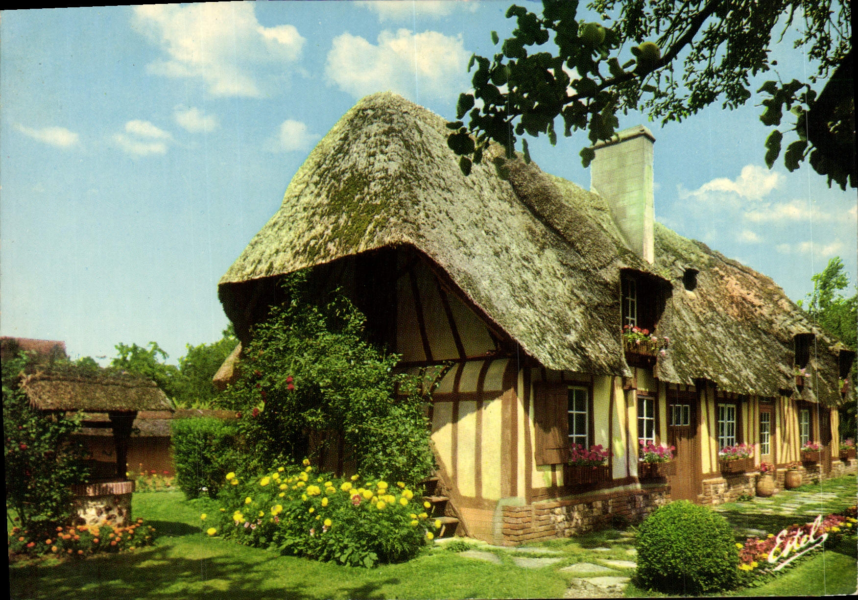 MODERN CARD Thatched cottage Norman