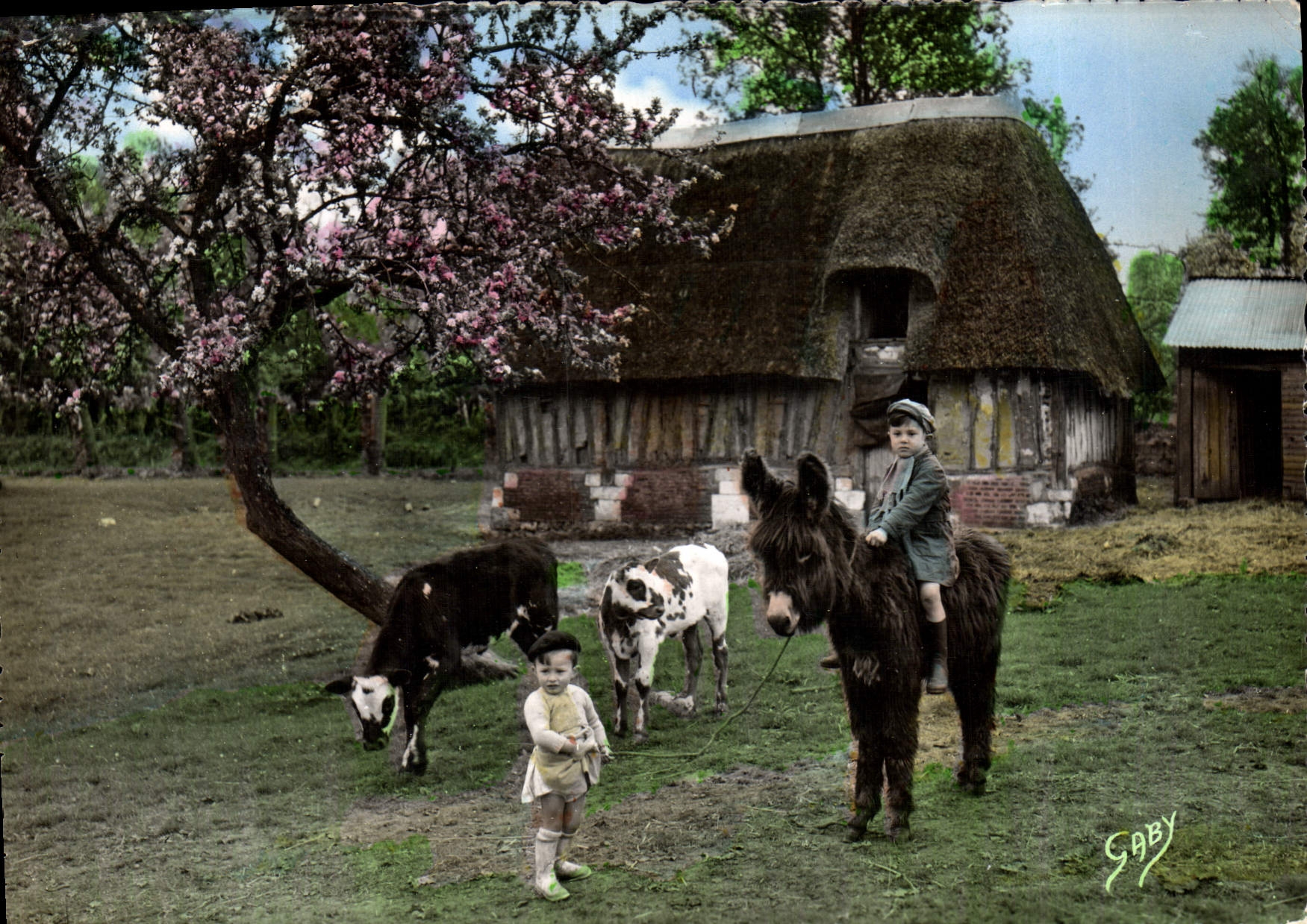 CPM De Normandie Bons Amis Enfants Ane Mule Vaches
