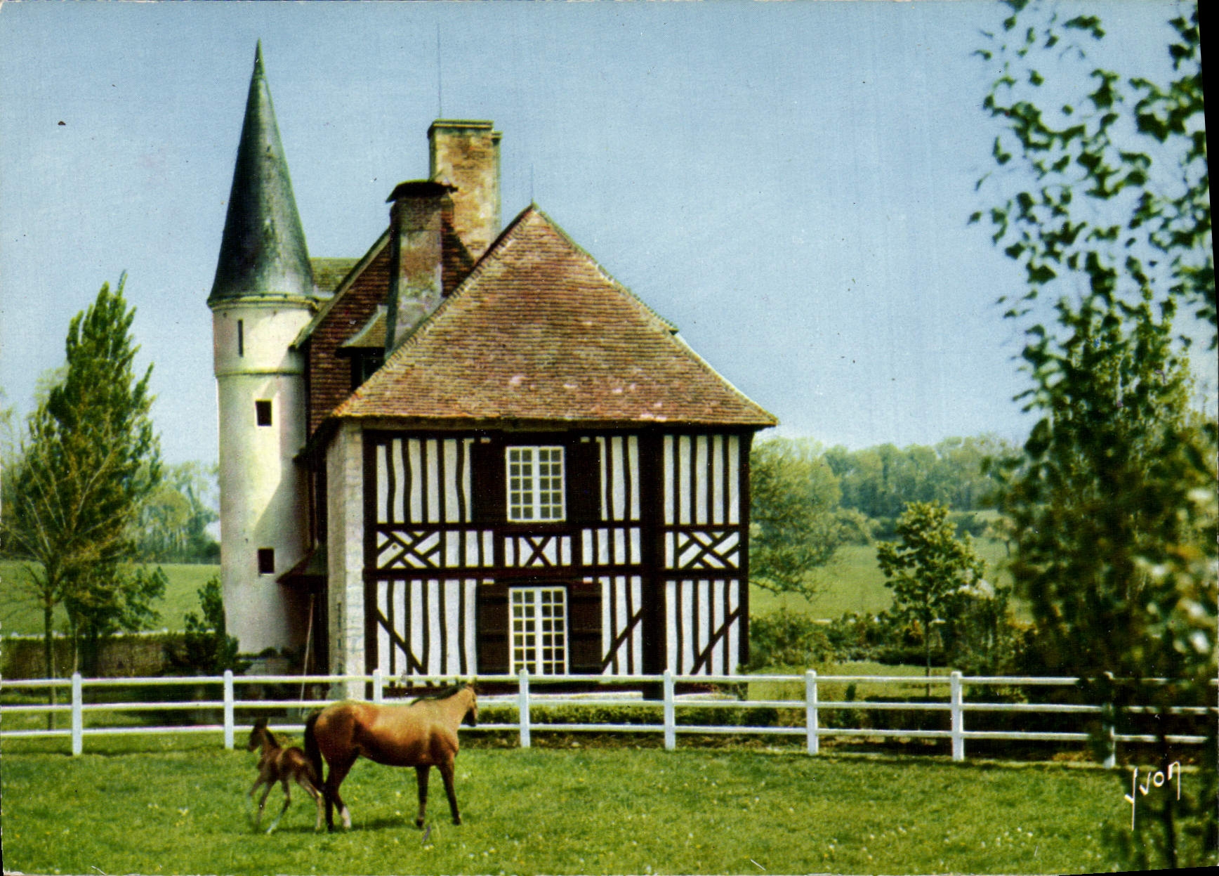 CPM Environs de Trouville Deauville Joli manoir normand pres de Toucques Cheval