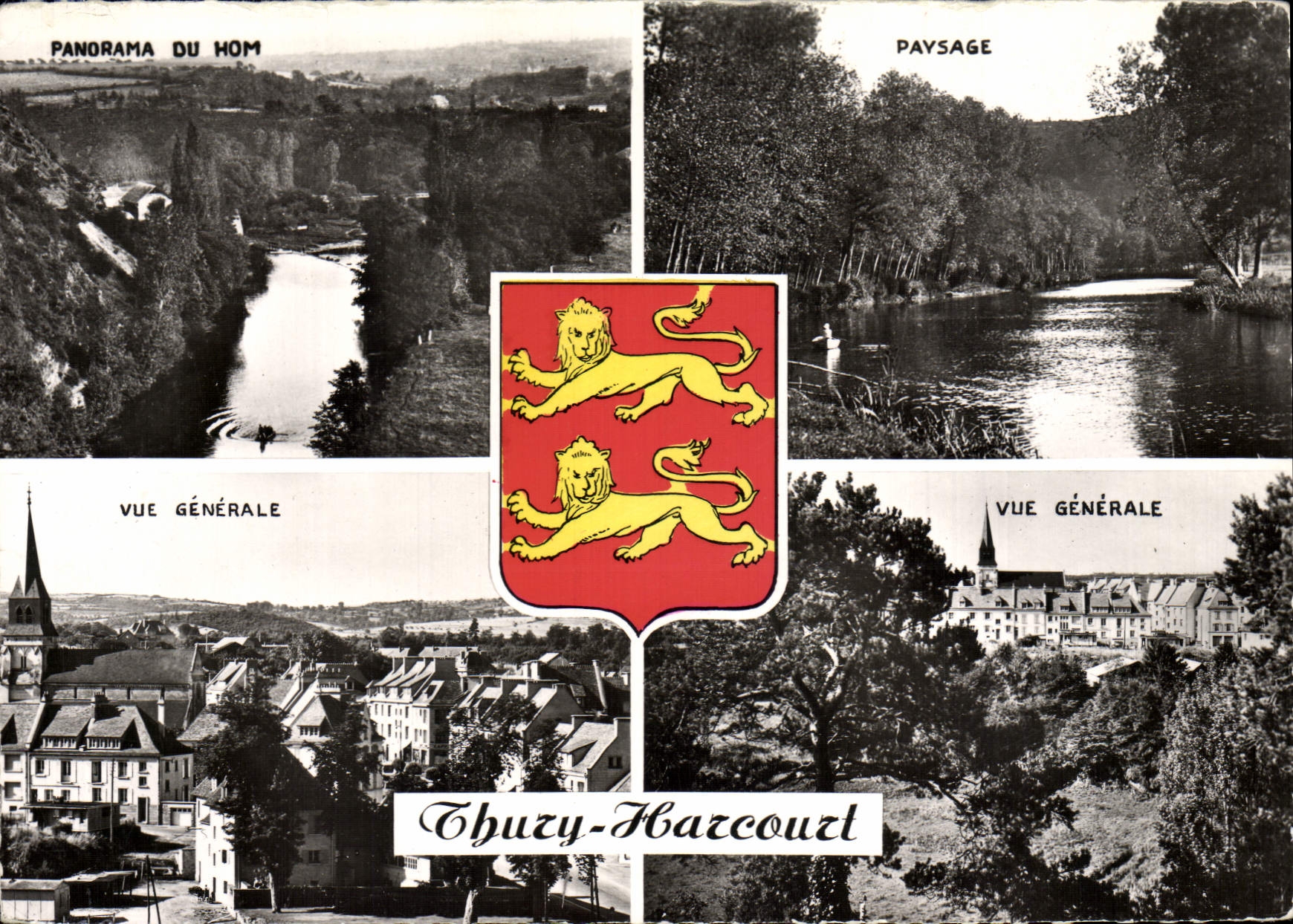 MODERN CARD Thuzy Harcourt Panorama of Hom Landscape View Lion