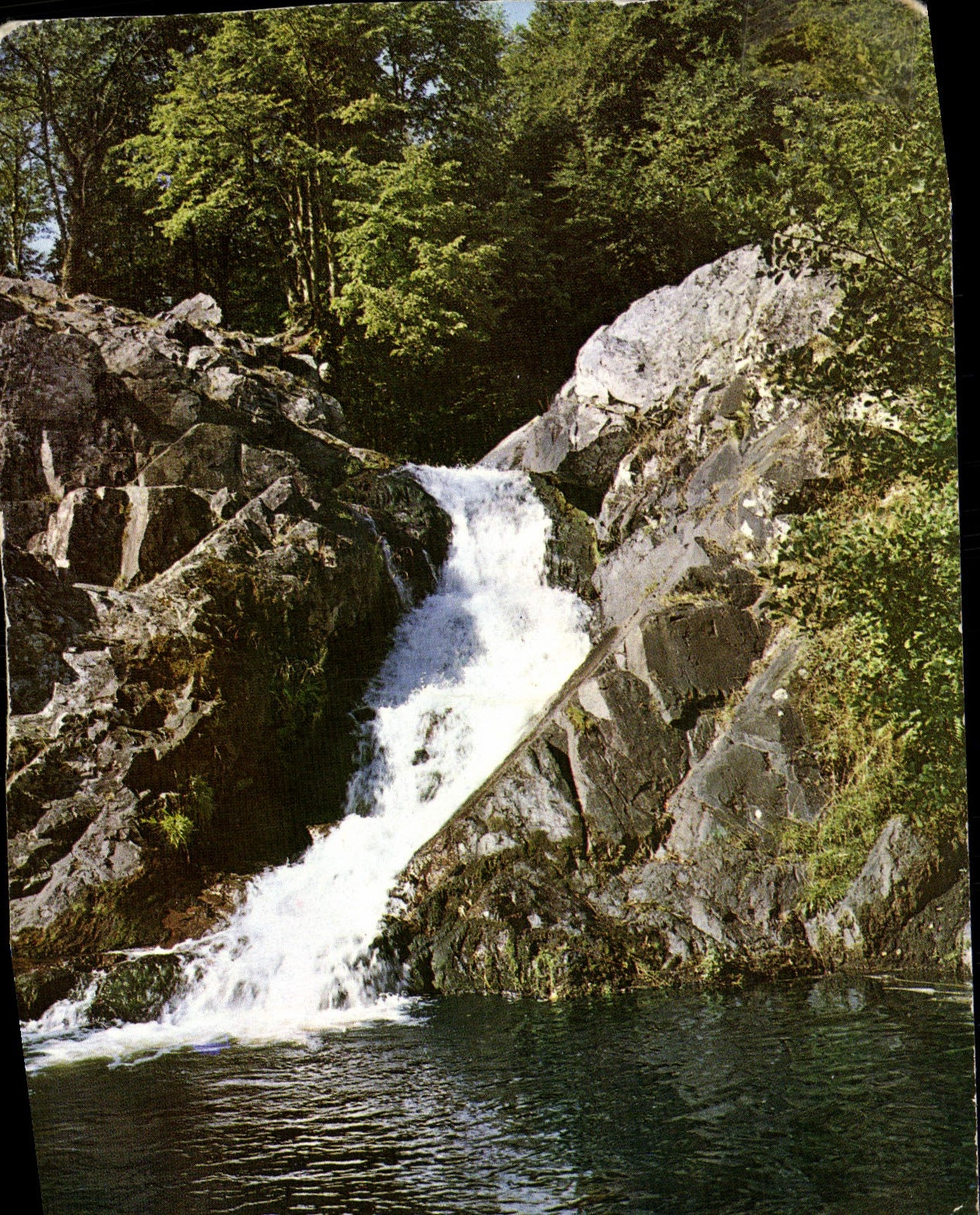 MODERN CARD Picturesque Morvan the jump of Gouloux