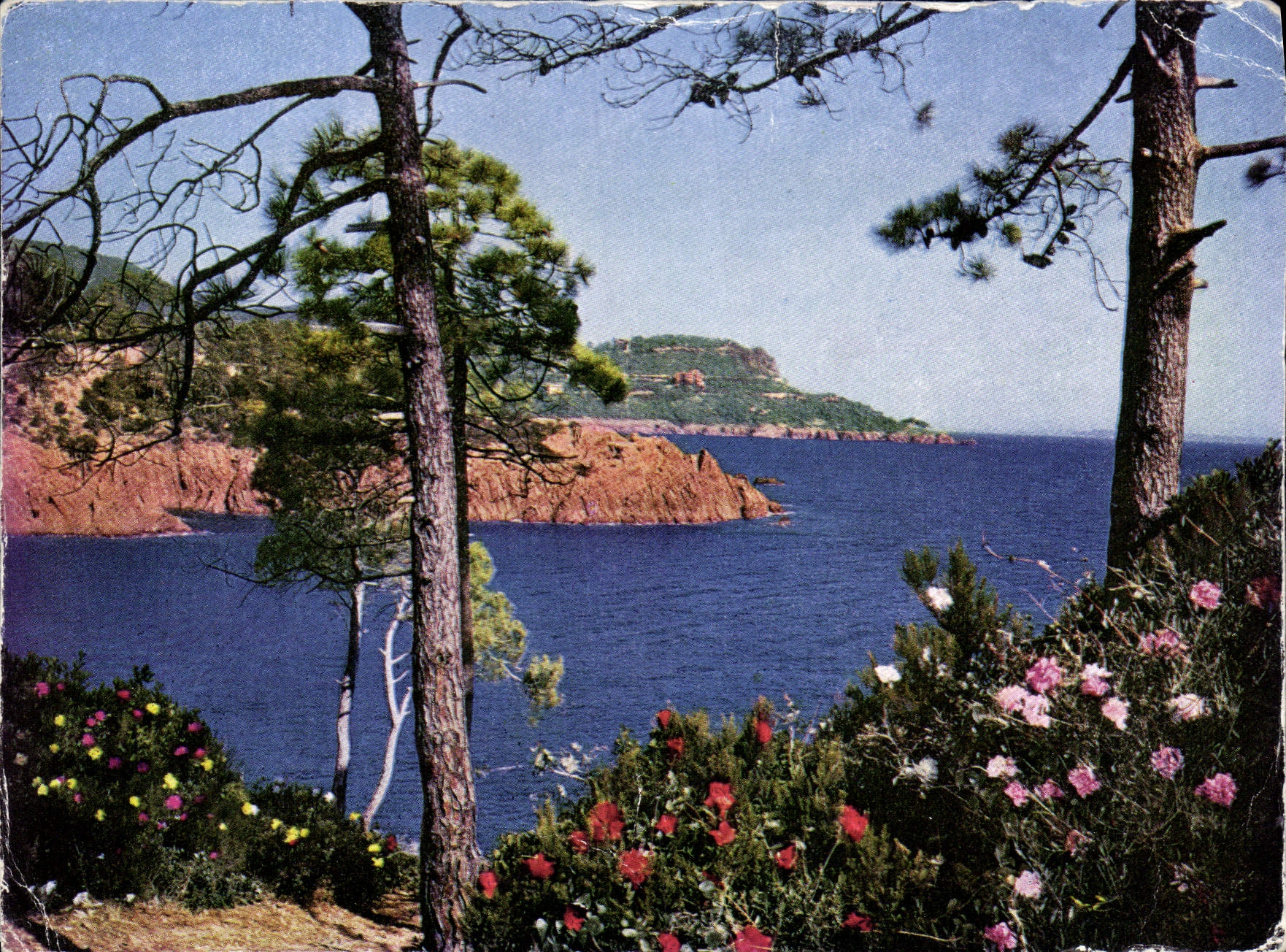 POSTAL MODERNA flores en la dimensión del azul