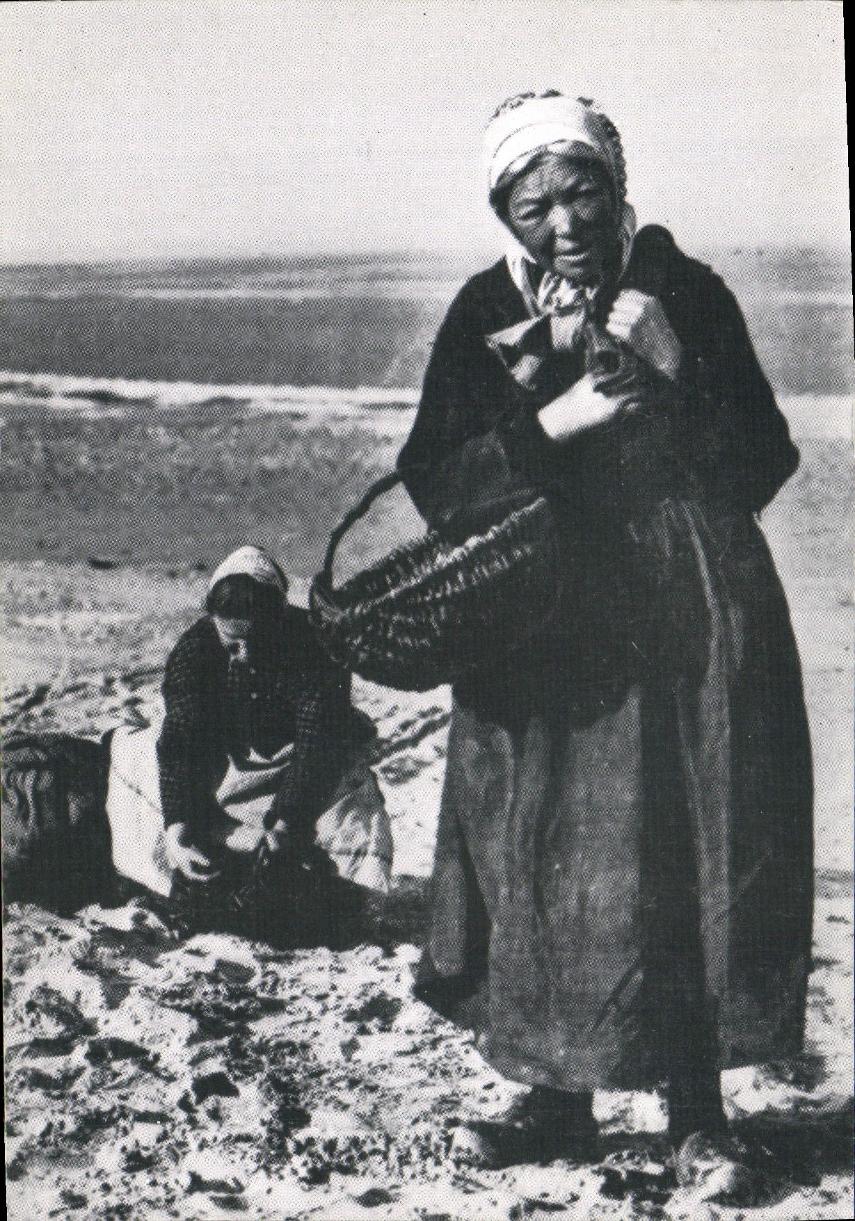 MODERN CARD Normandy D' Autrefois the Sinning ones of hulls Fishes Woman