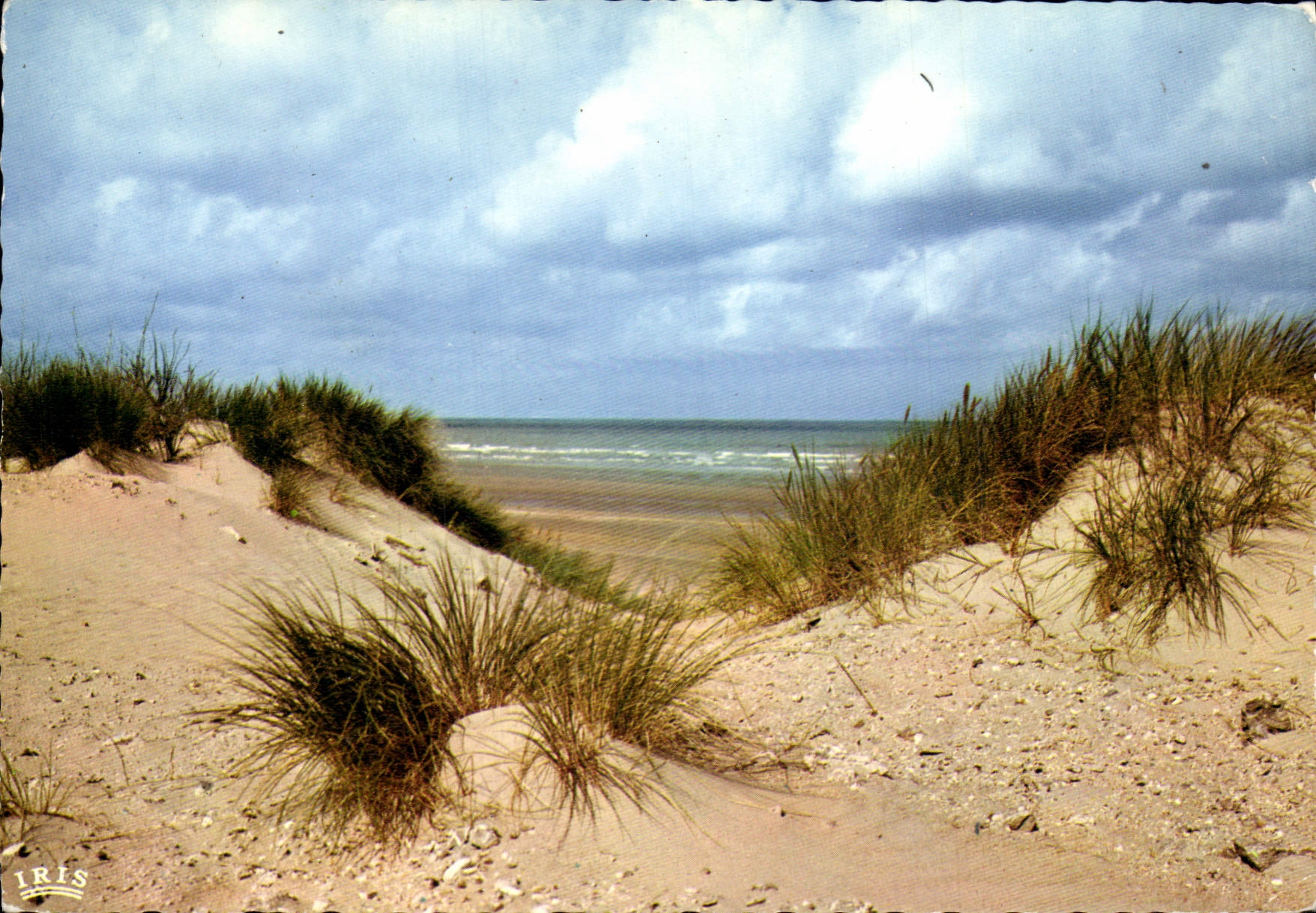 CPM Cote Atlantiquee Mais Sur Le Sable Au Loin Chante La Mer Divine