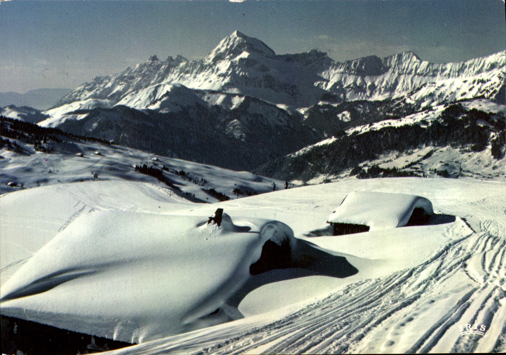 MODERN CARD Country cottages Under Snow
