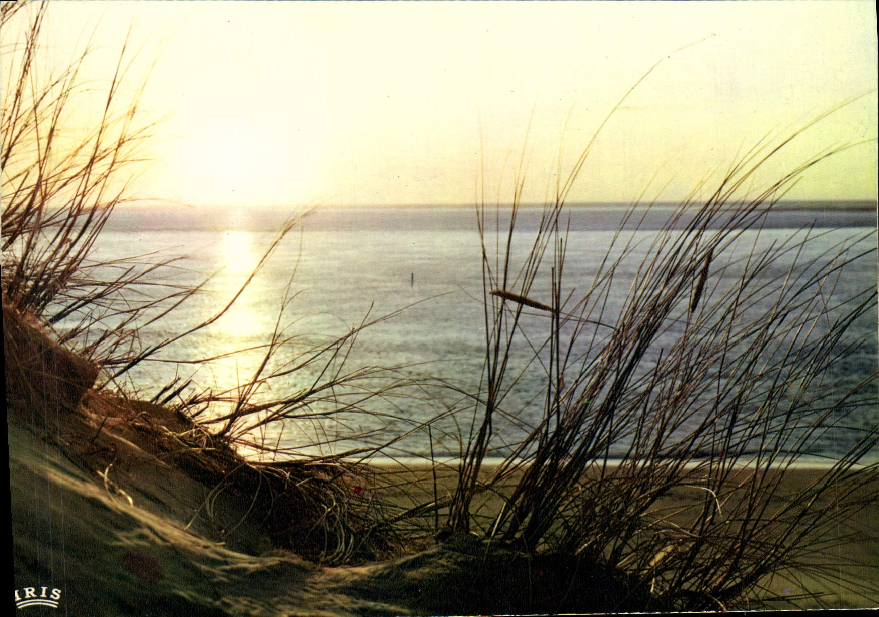 CPM Cote Atlantique Coucher De Soleil