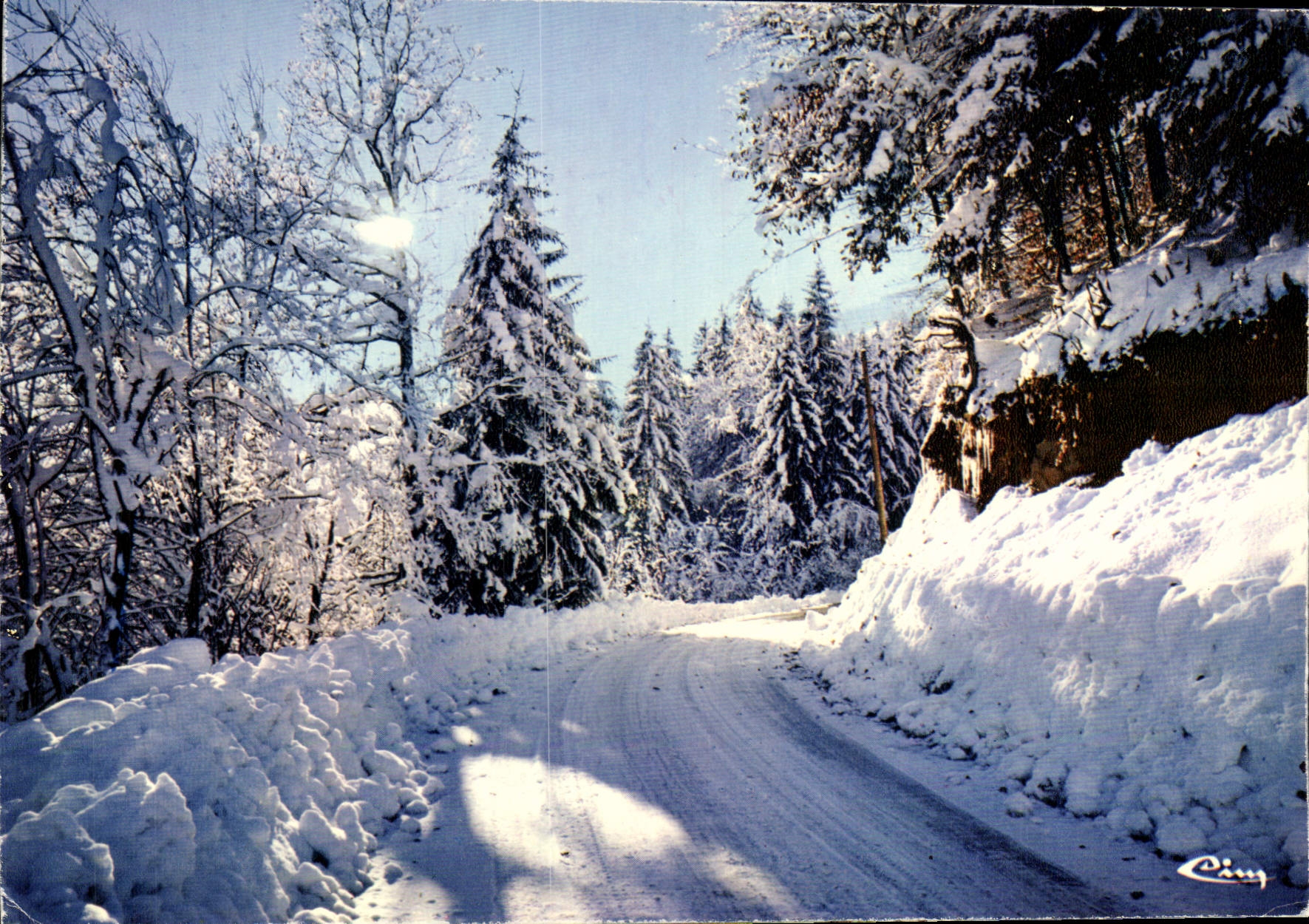 CPM Neige Et Soleil Contre Jour
