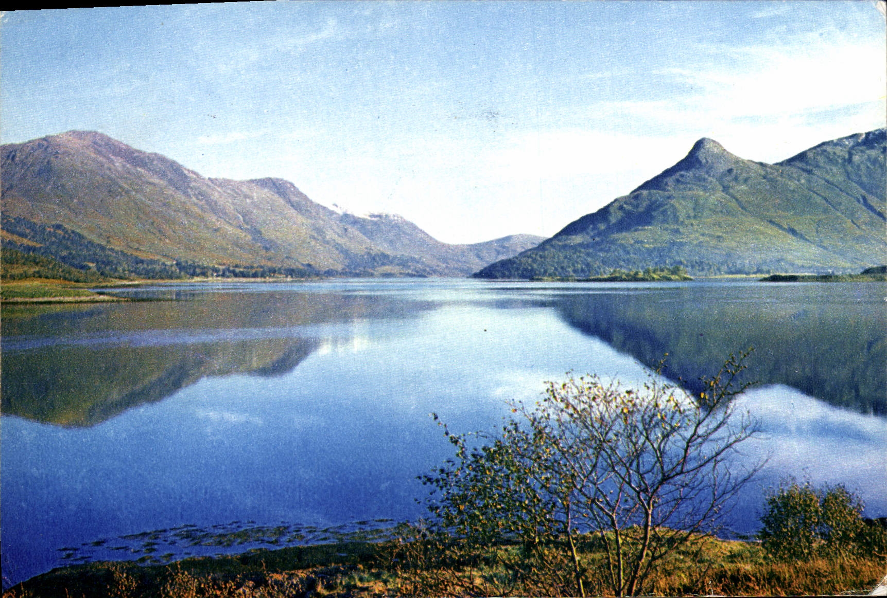 MODERN CARD Leven Log